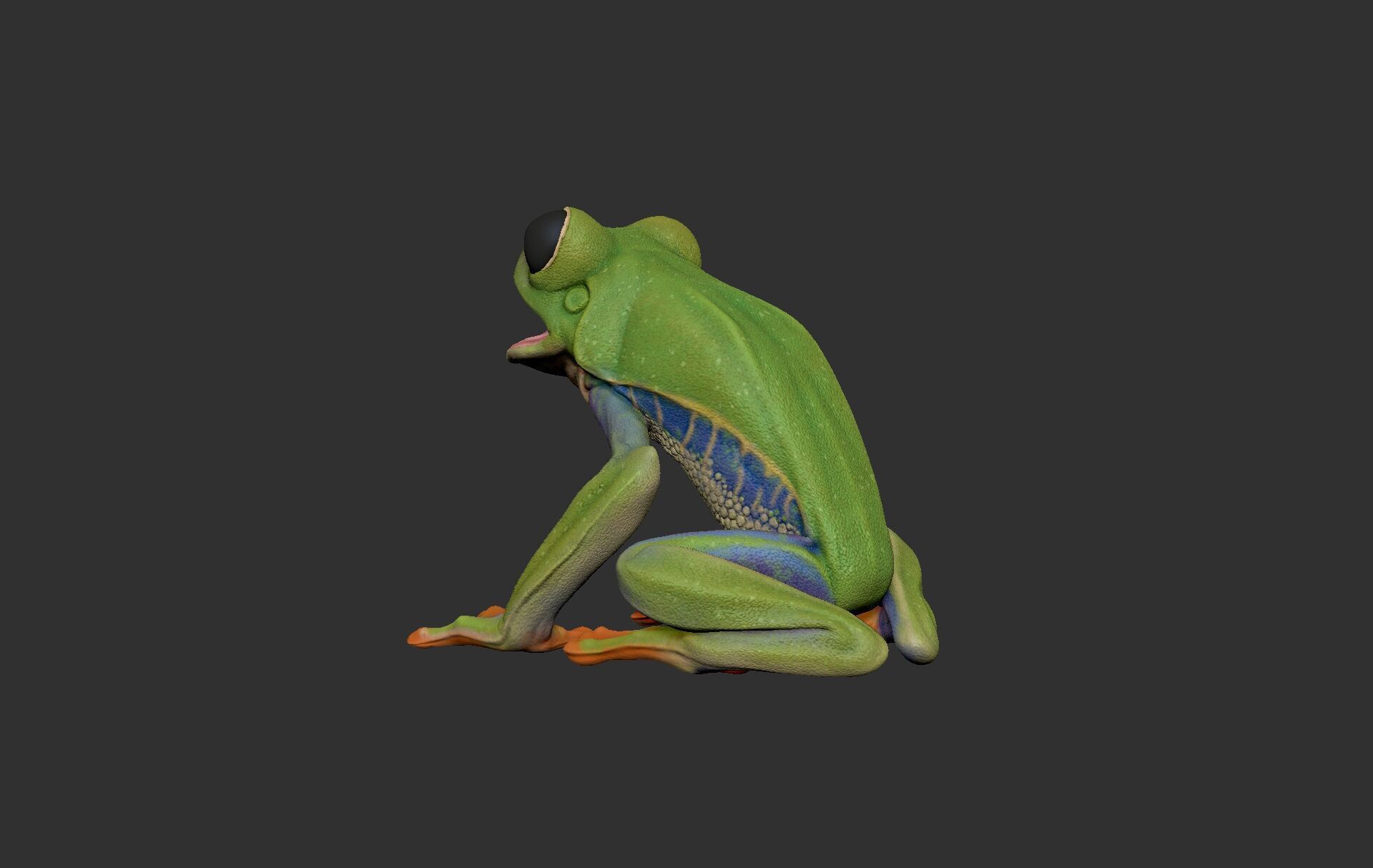 Red Tree Frog Sculpt  Low-poly 3D model_2