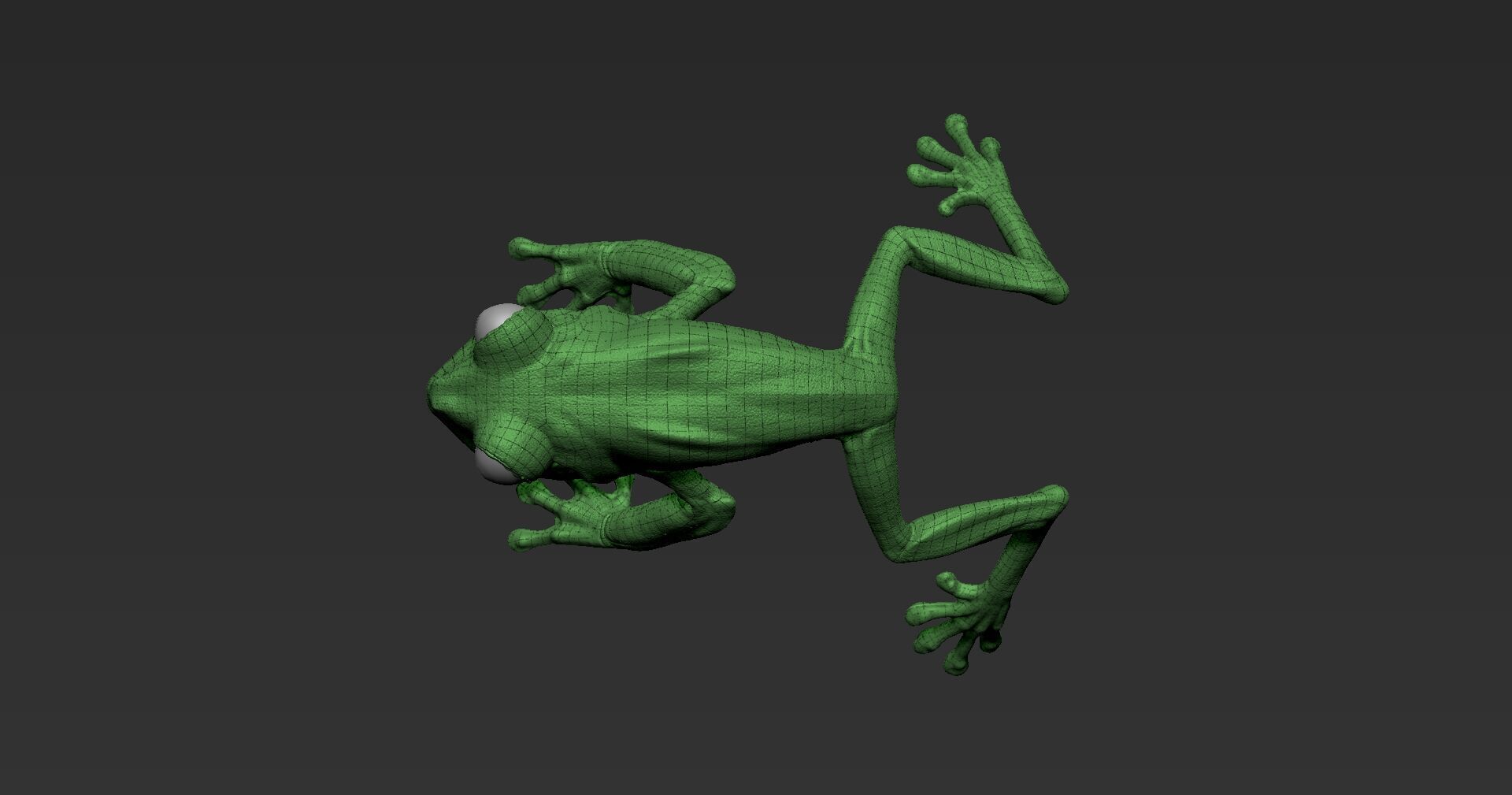 Red Tree Frog Sculpt  Low-poly 3D model_14
