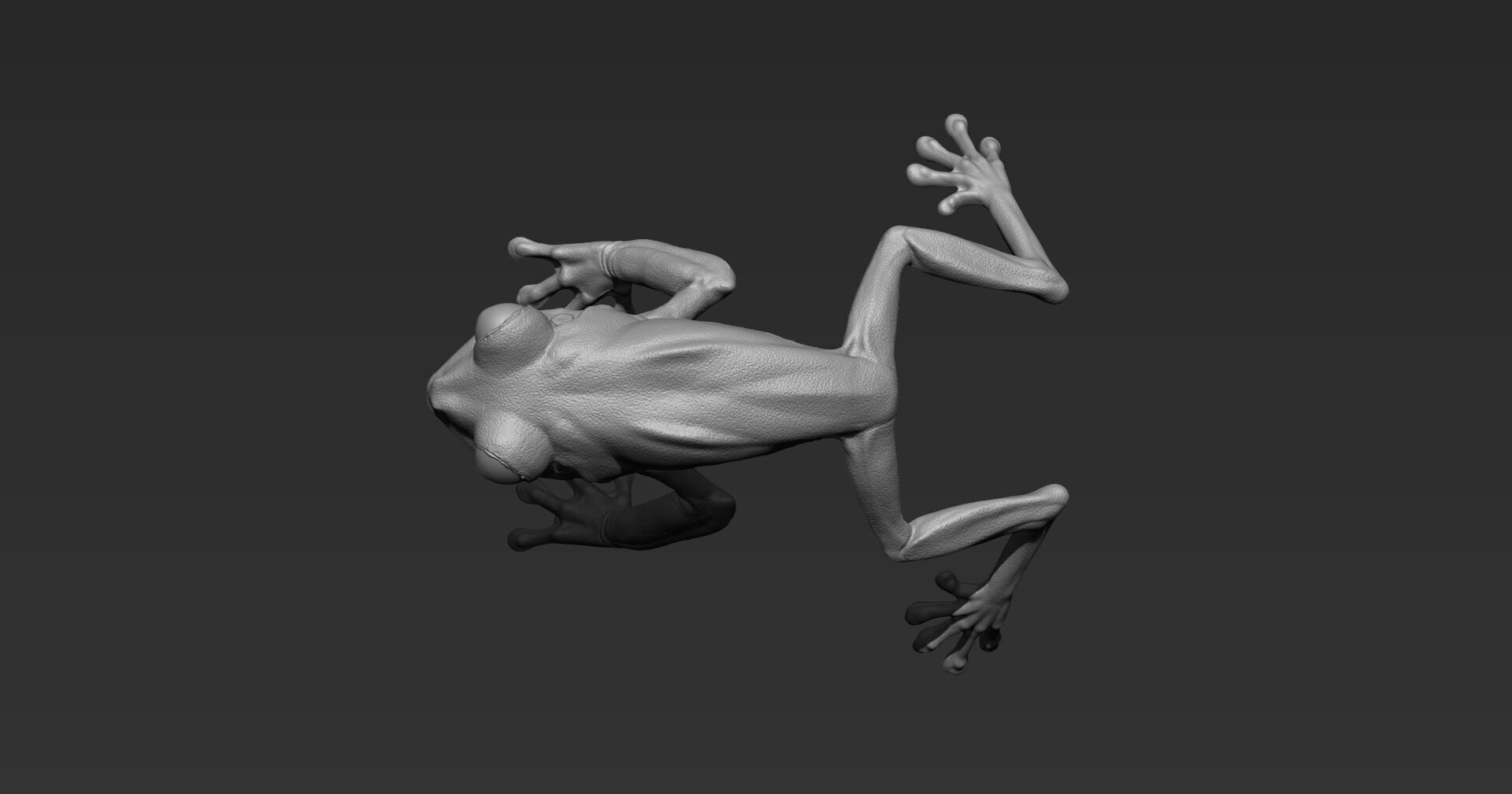 Red Tree Frog Sculpt  Low-poly 3D model_13