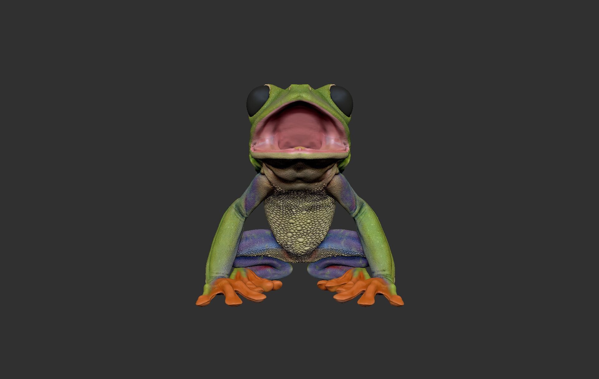 Red Tree Frog Sculpt  Low-poly 3D model_4