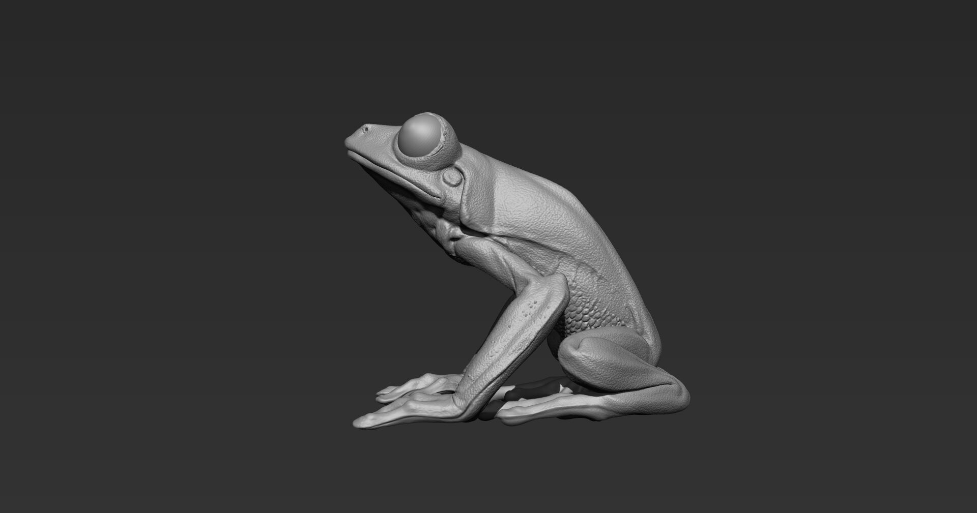 Red Tree Frog Sculpt  Low-poly 3D model_10