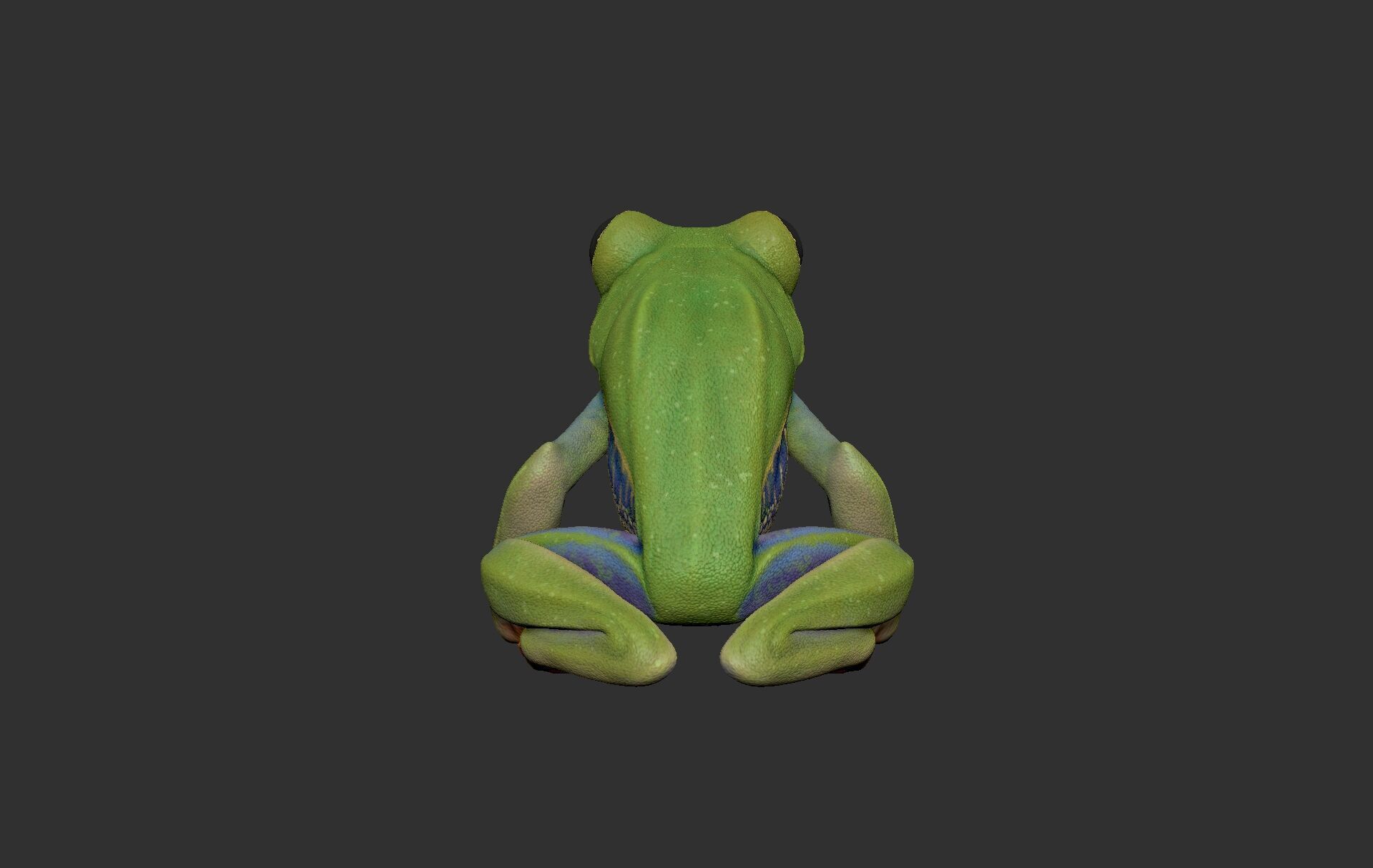 Red Tree Frog Sculpt  Low-poly 3D model_3