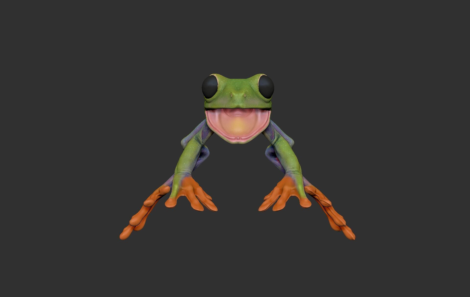 Red Tree Frog Sculpt  Low-poly 3D model_5