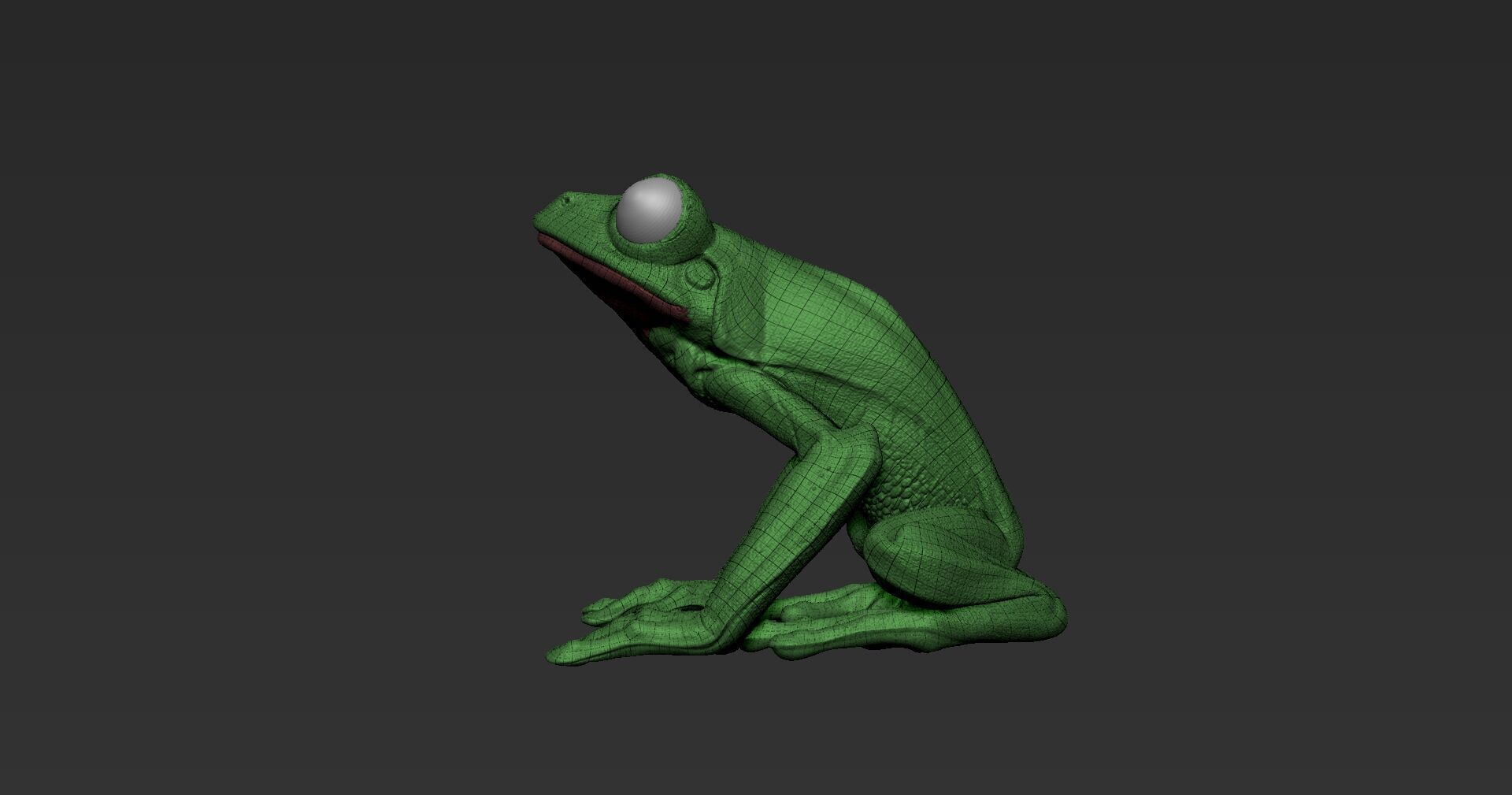 Red Tree Frog Sculpt  Low-poly 3D model_11