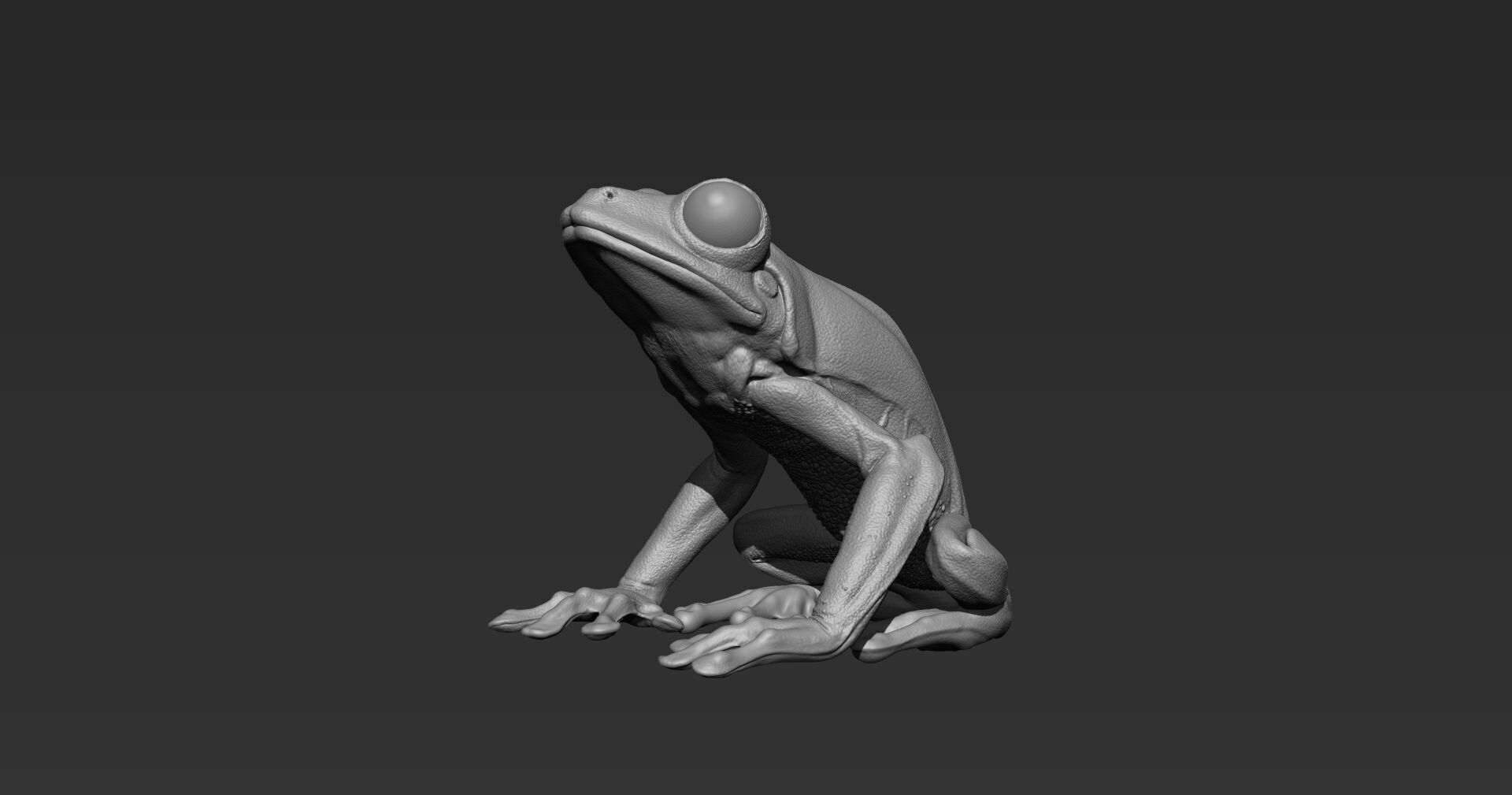 Red Tree Frog Sculpt  Low-poly 3D model_9