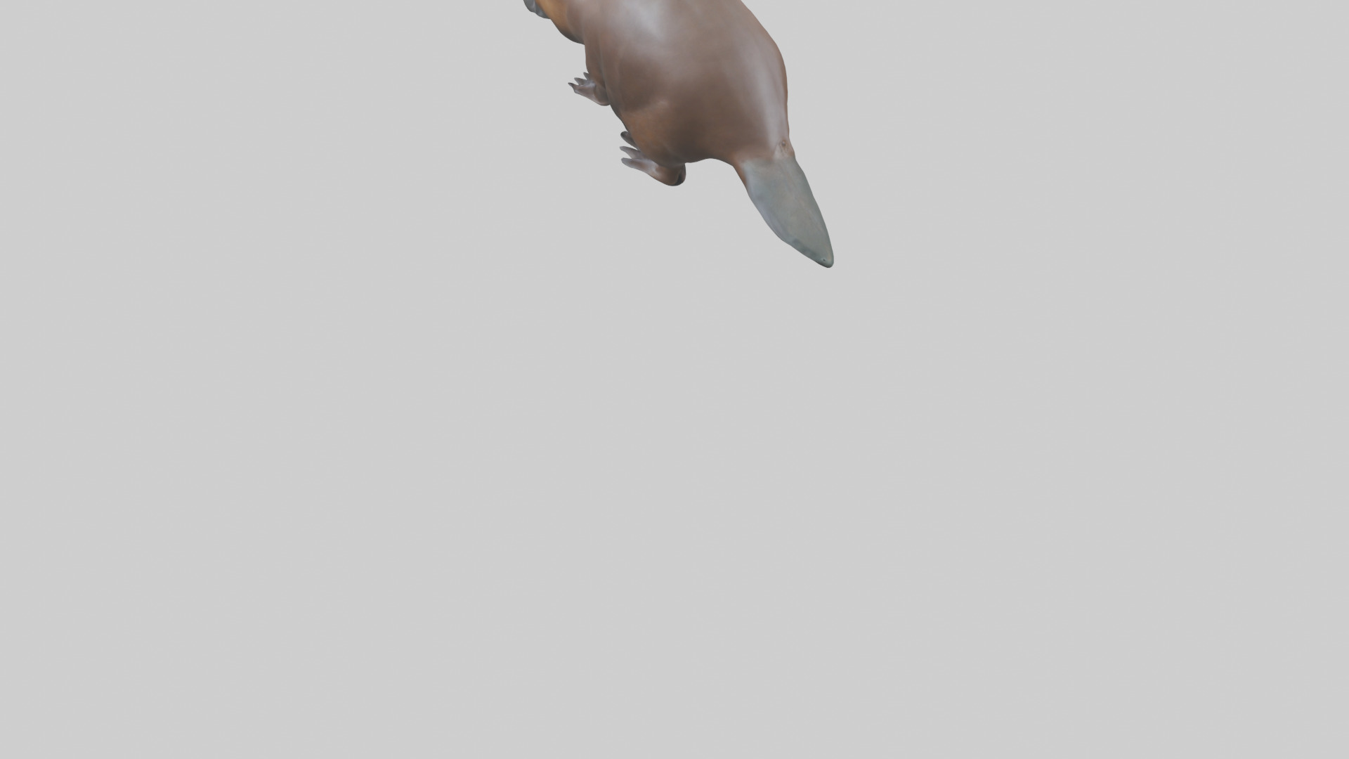 Platypus foraging model Low-poly 3D model_3