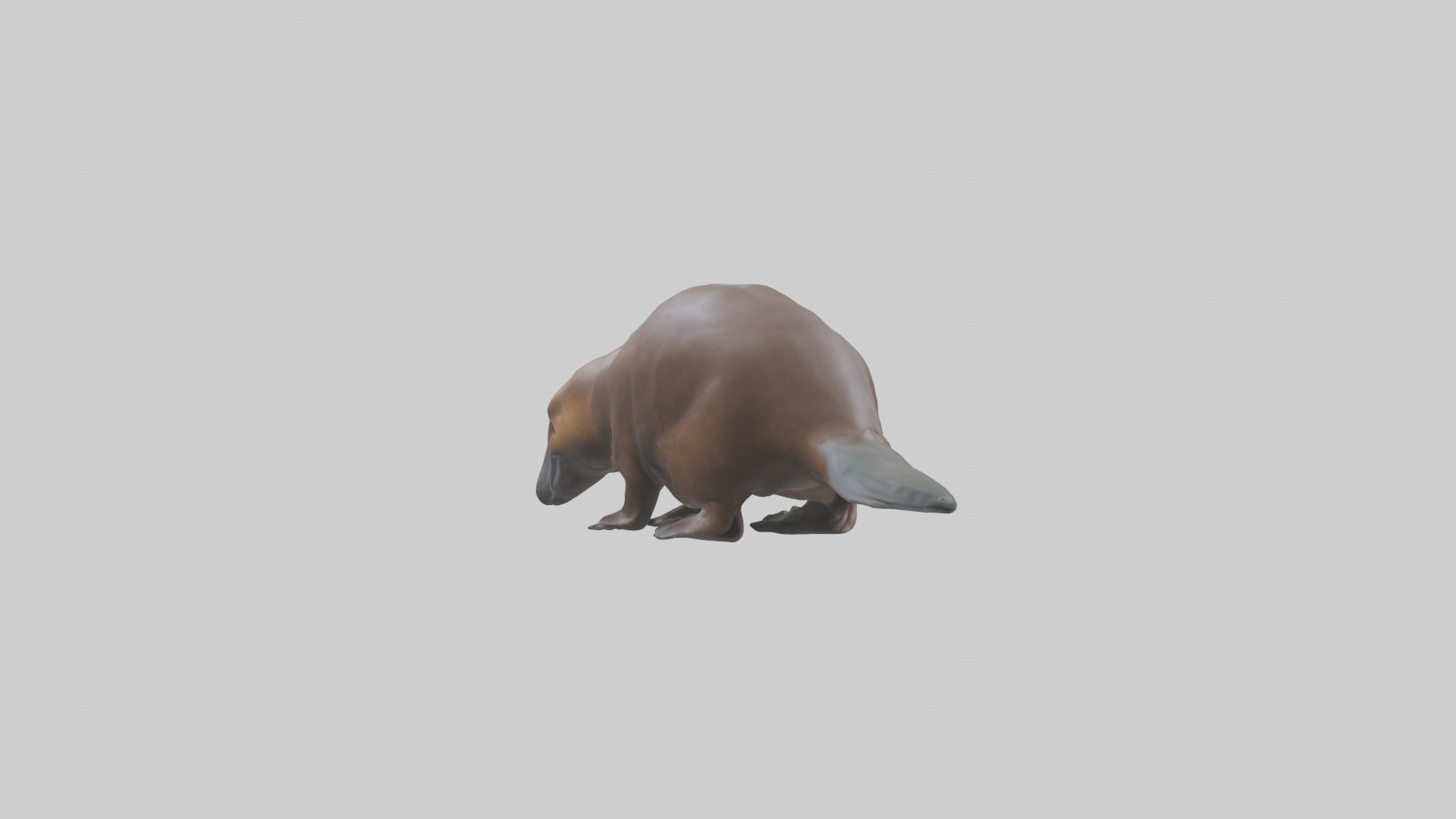 Platypus foraging model Low-poly 3D model_1