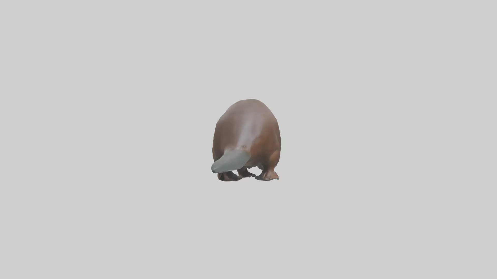 Platypus foraging model Low-poly 3D model_0