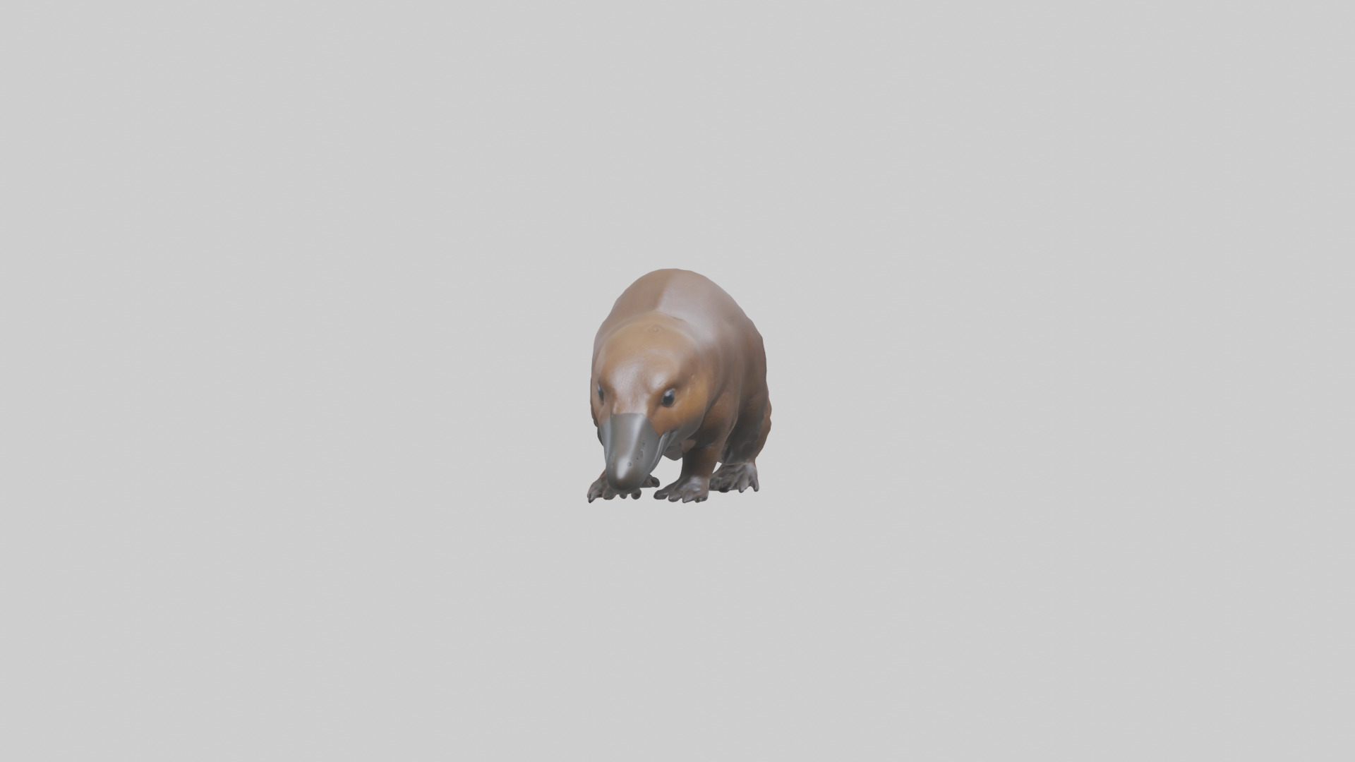Platypus foraging model Low-poly 3D model_9