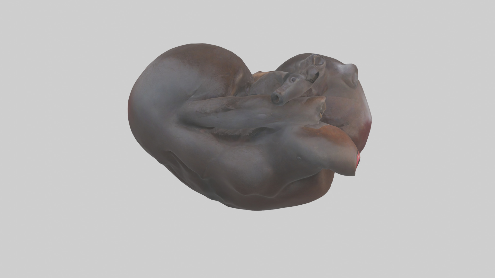 Platypus Heart Low-poly 3D model_15