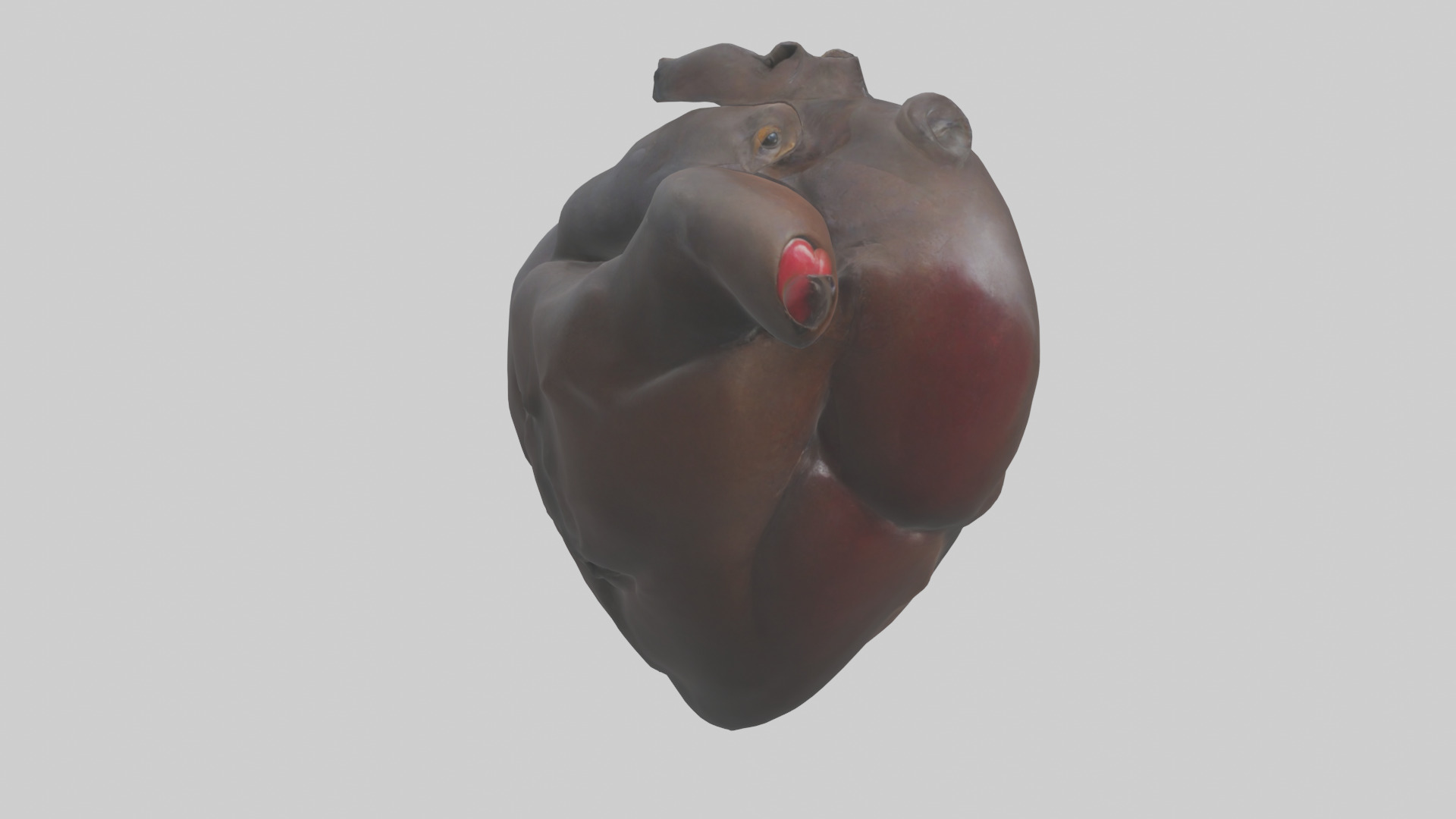 Platypus Heart Low-poly 3D model_2