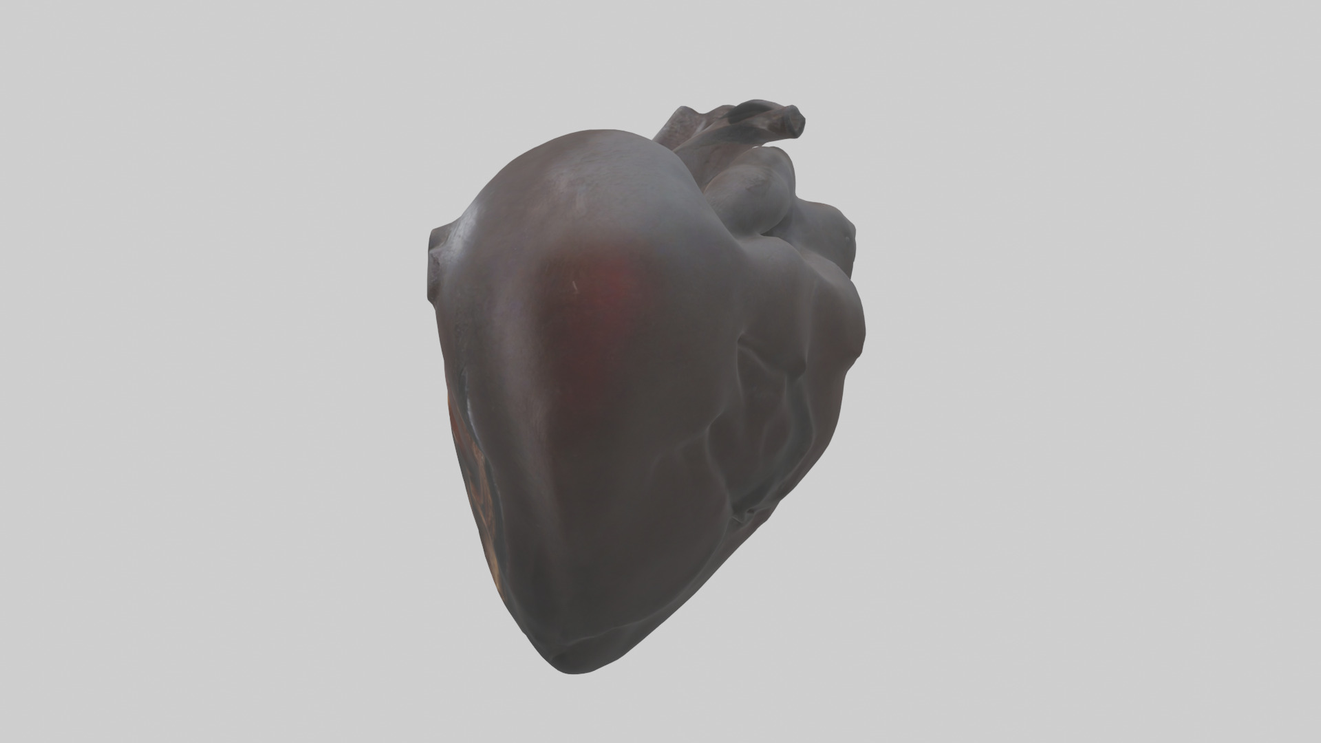 Platypus Heart Low-poly 3D model_12