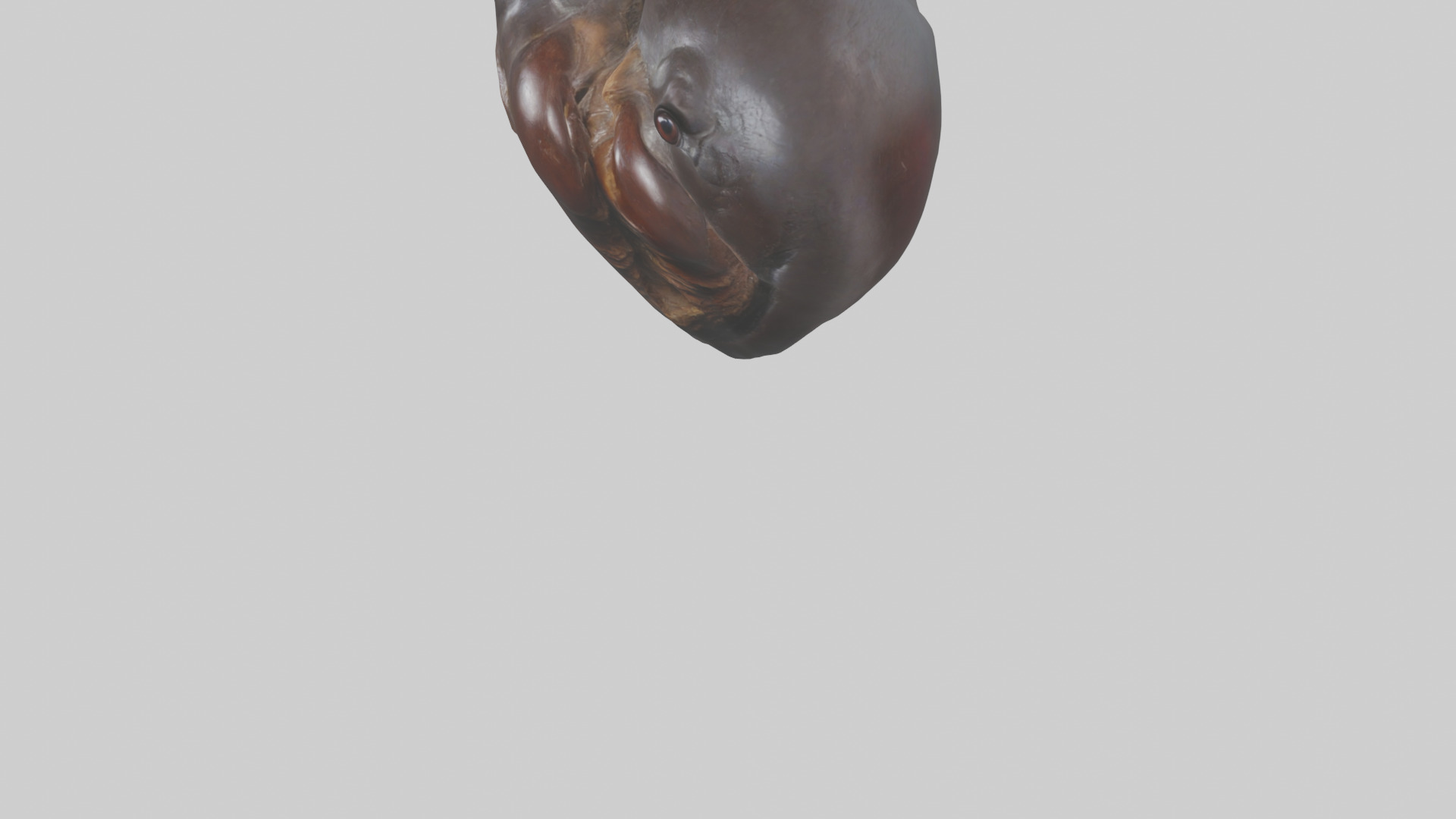 Platypus Heart Low-poly 3D model_5