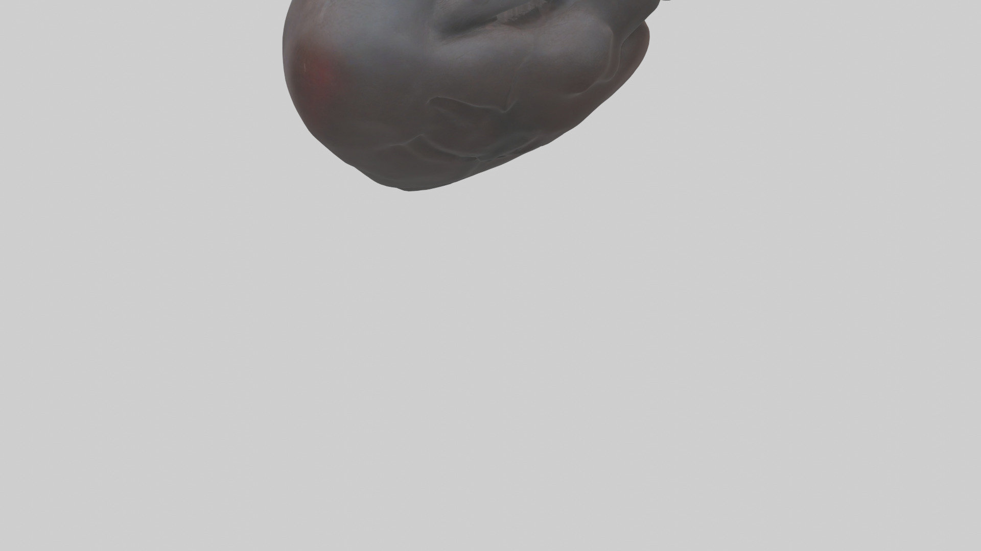 Platypus Heart Low-poly 3D model_3