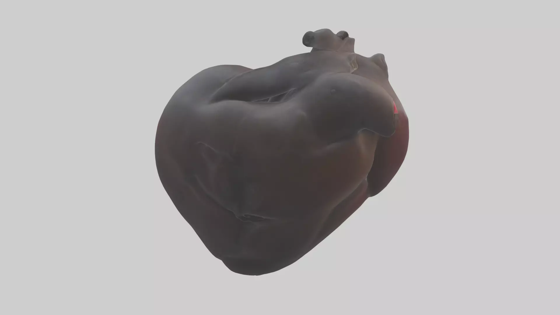 Platypus Heart Low-poly 3D model_0
