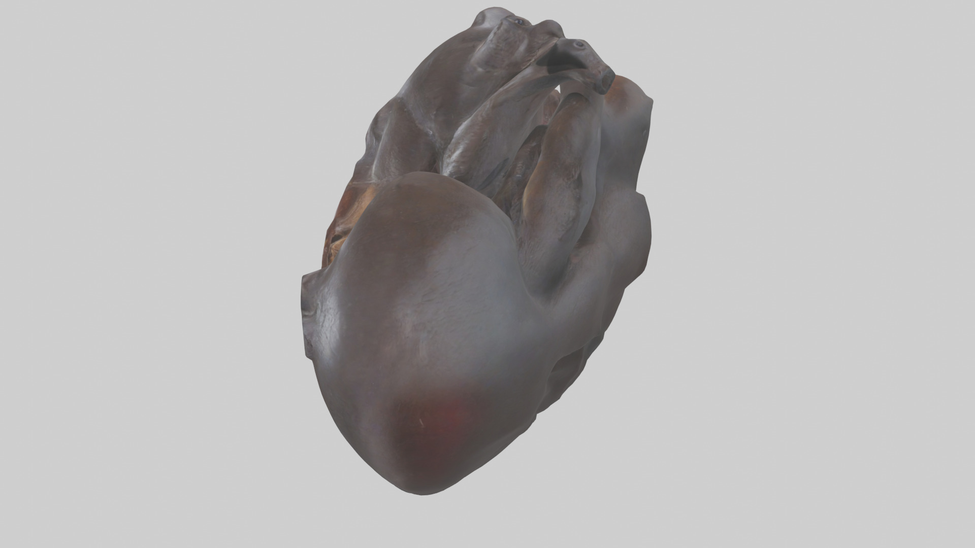 Platypus Heart Low-poly 3D model_17