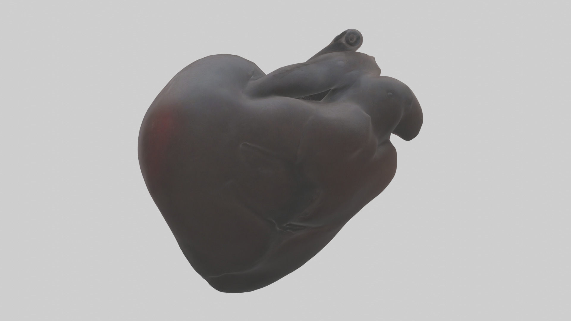 Platypus Heart Low-poly 3D model_1