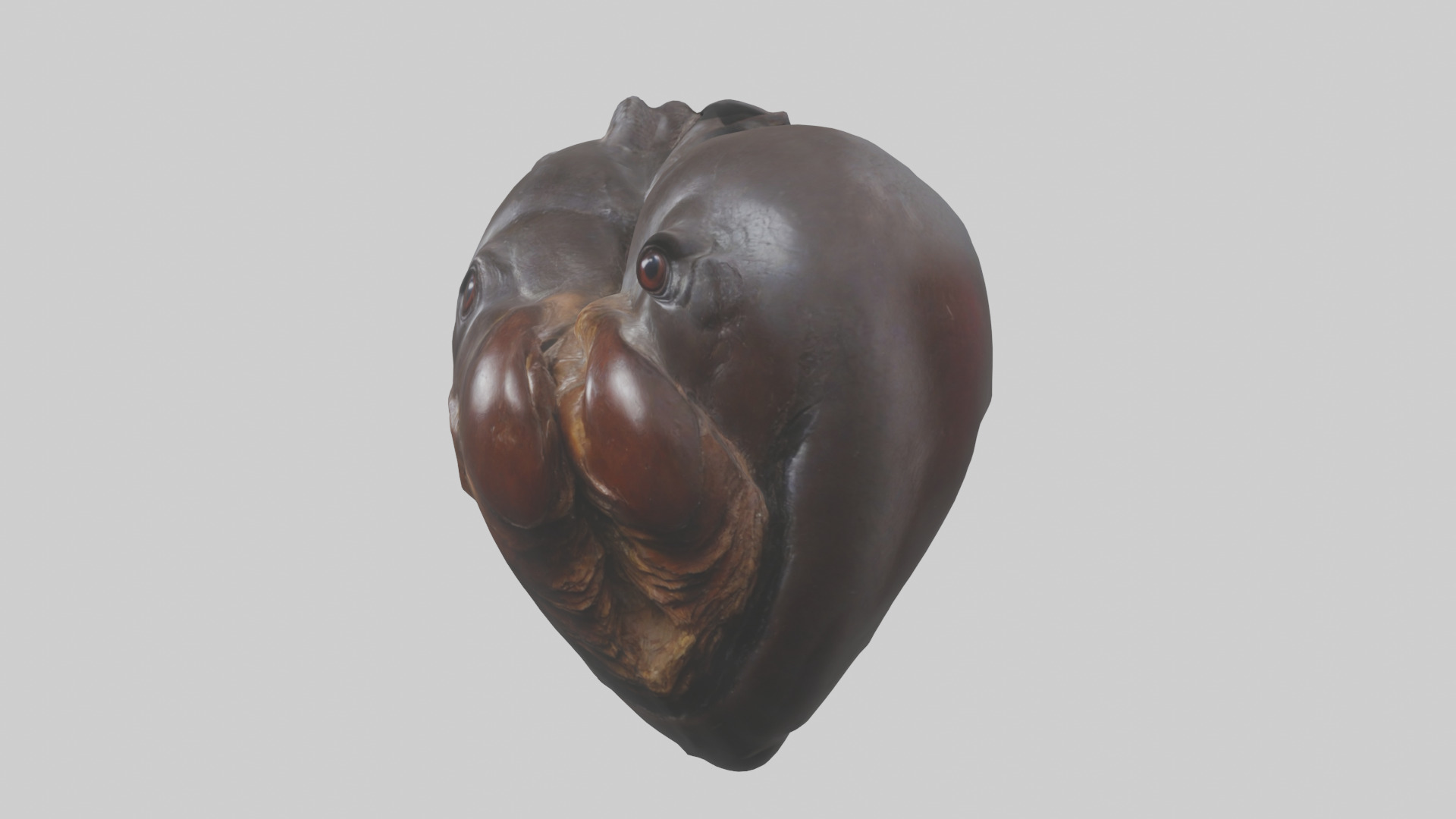 Platypus Heart Low-poly 3D model_10