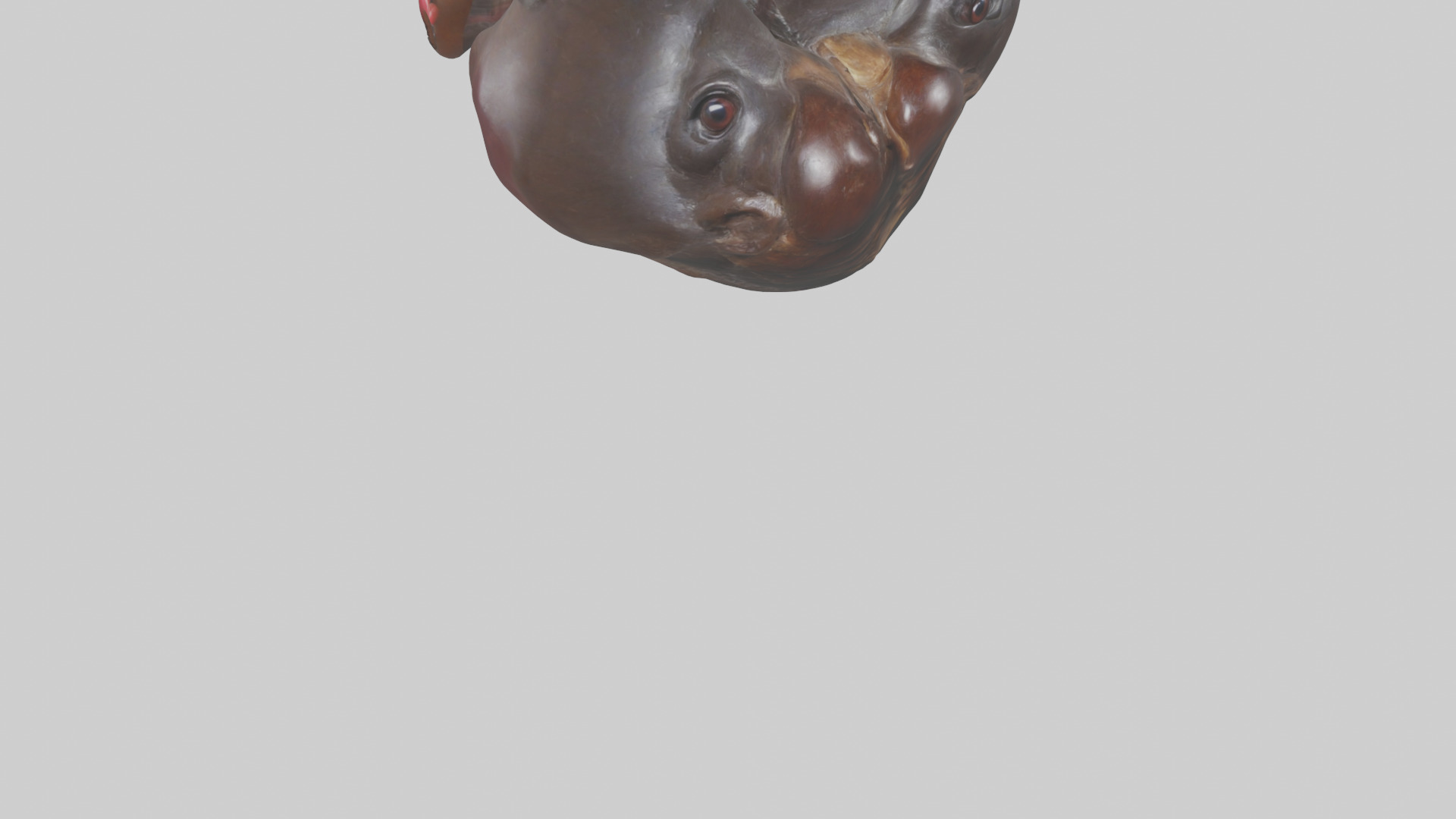 Platypus Heart Low-poly 3D model_6