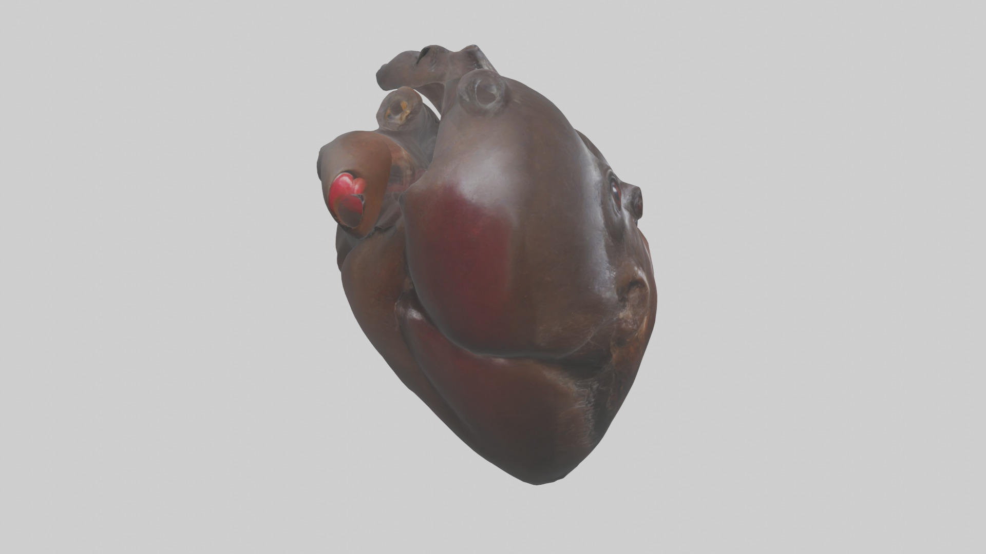Platypus Heart Low-poly 3D model_13