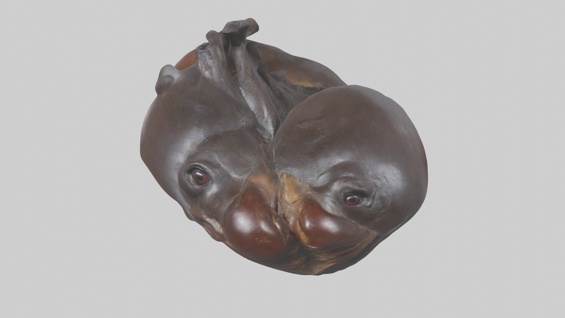 Platypus Heart Low-poly 3D model_16