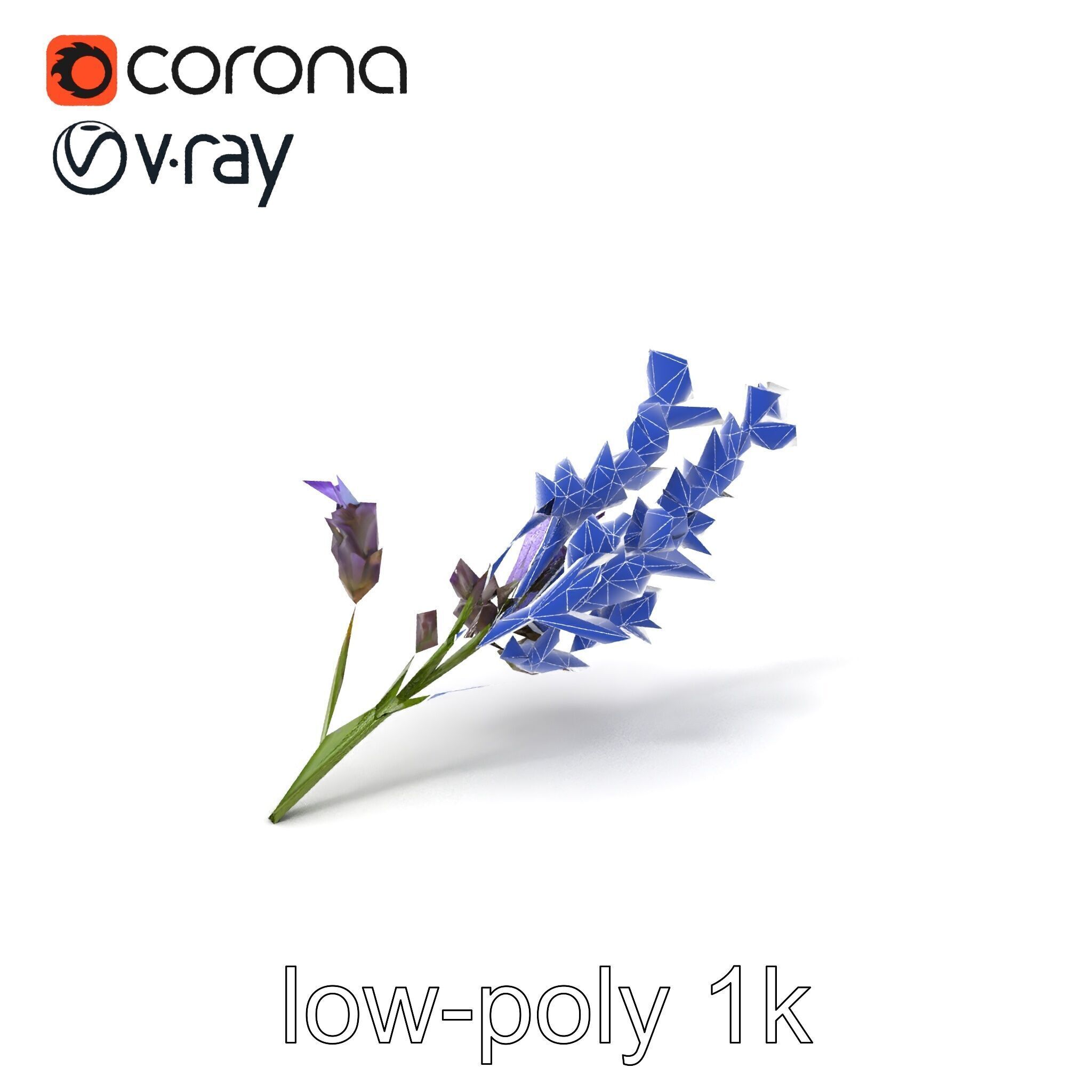 Lavender Flower Botanical Detailed 3D model pack Low-poly 3D model_7