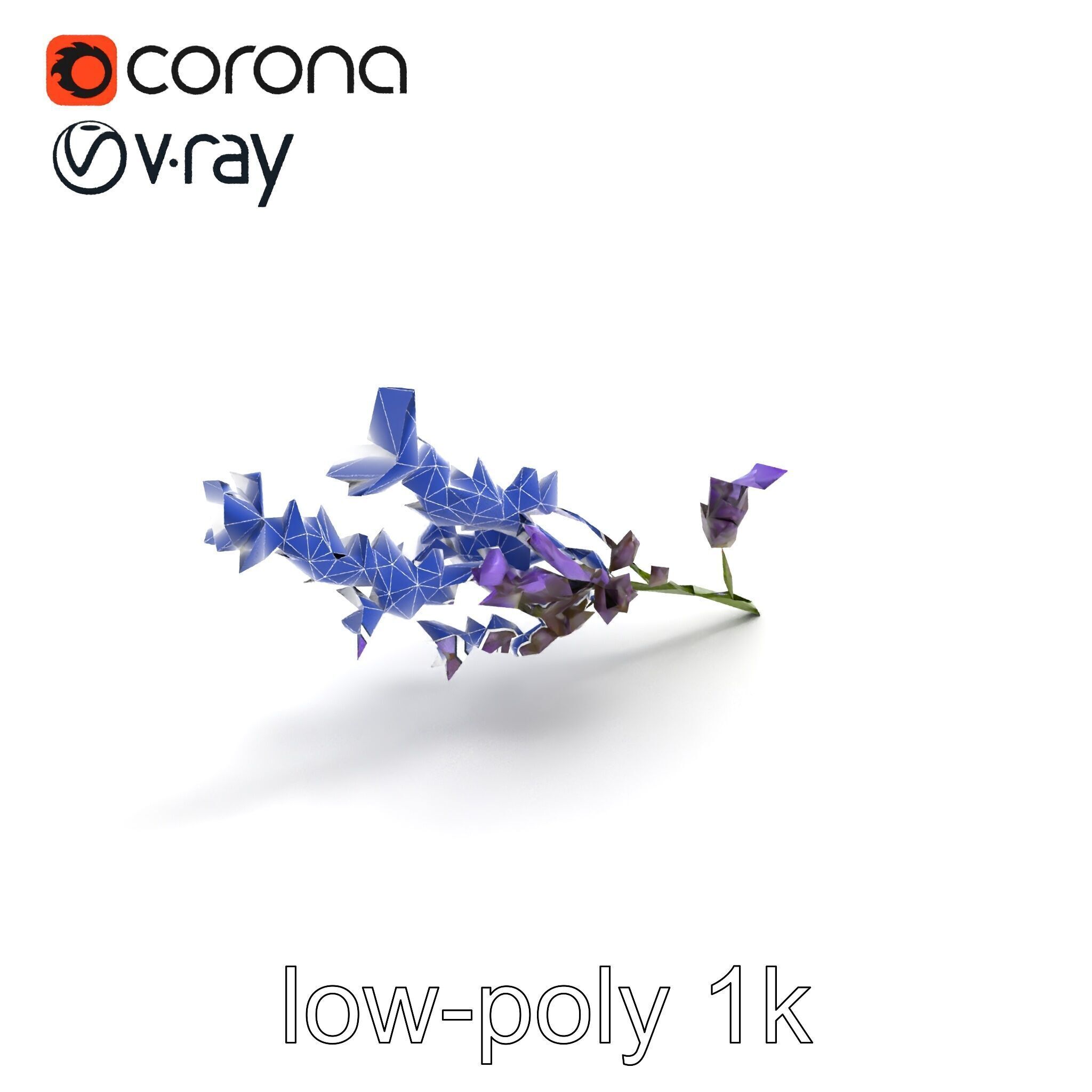 Lavender Flower Botanical Detailed 3D model pack Low-poly 3D model_11