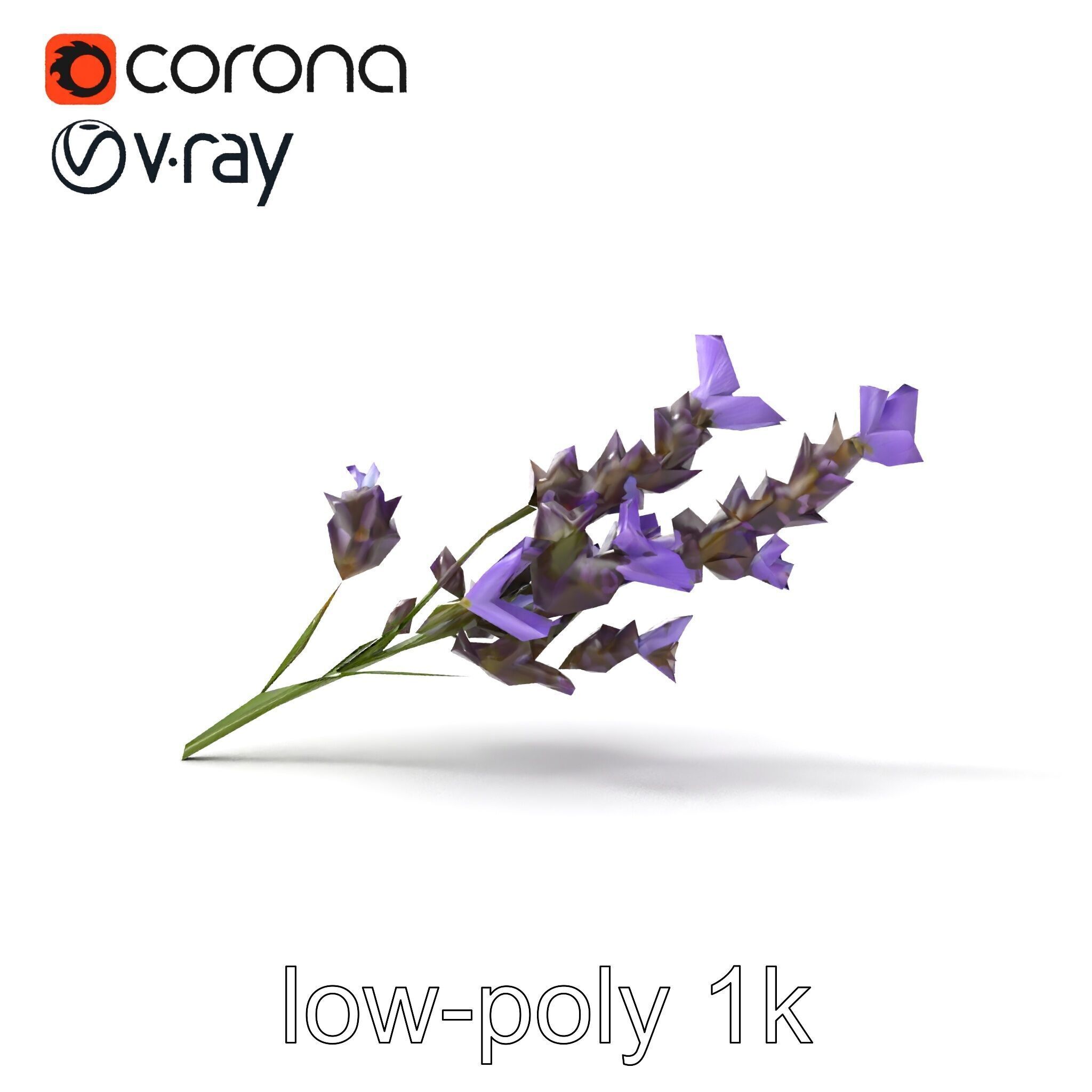 Lavender Flower Botanical Detailed 3D model pack Low-poly 3D model_15