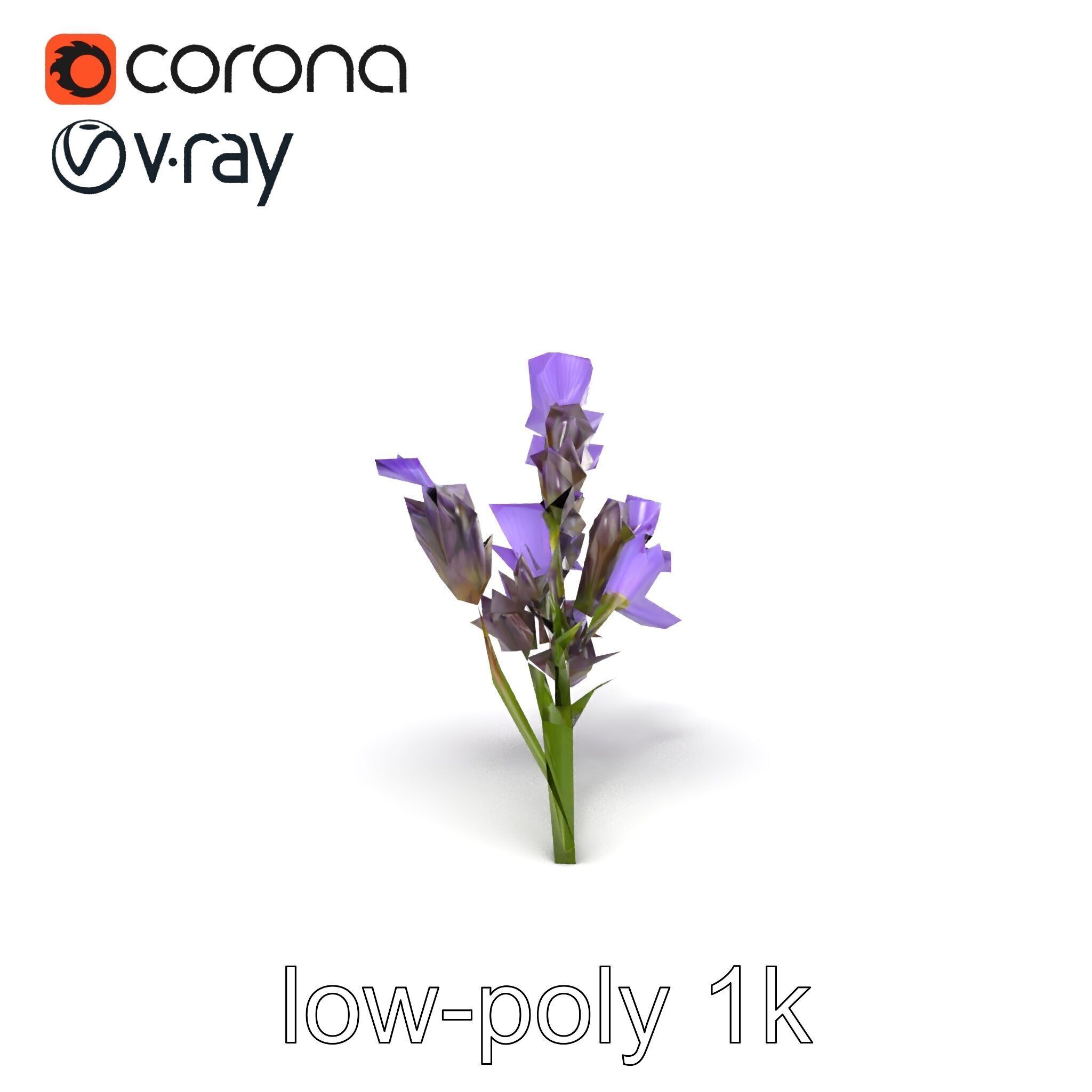Lavender Flower Botanical Detailed 3D model pack Low-poly 3D model_26