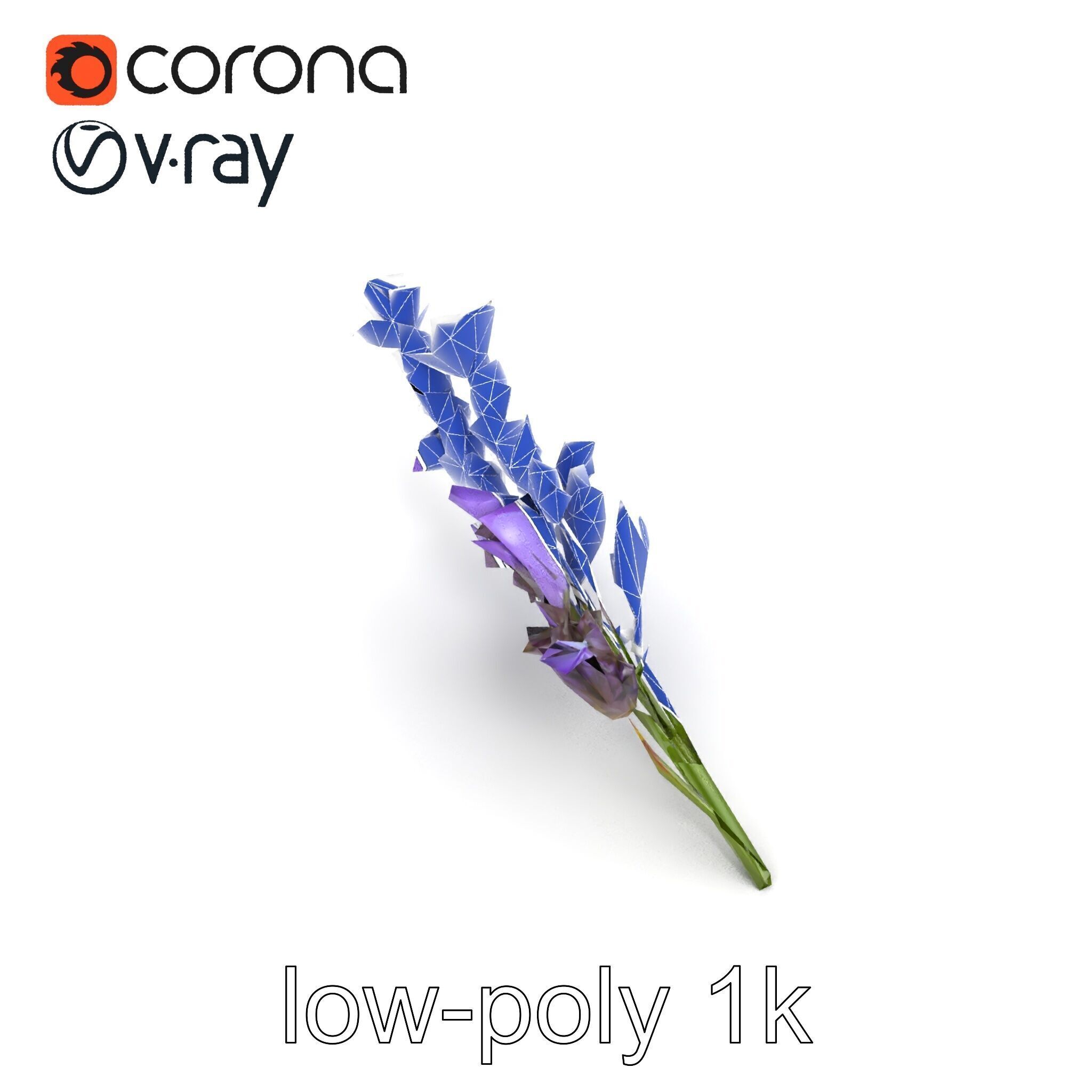 Lavender Flower Botanical Detailed 3D model pack Low-poly 3D model_20