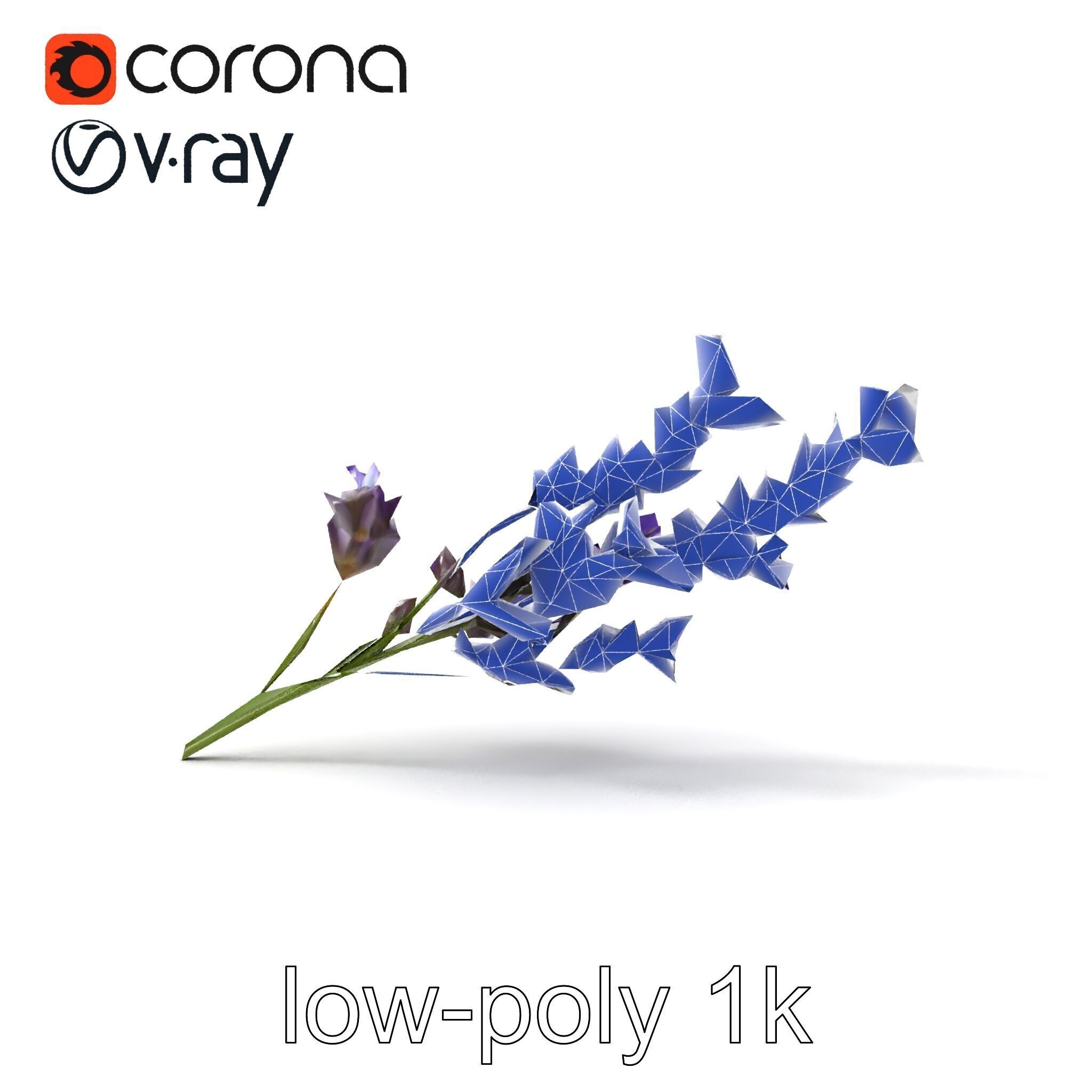 Lavender Flower Botanical Detailed 3D model pack Low-poly 3D model_28