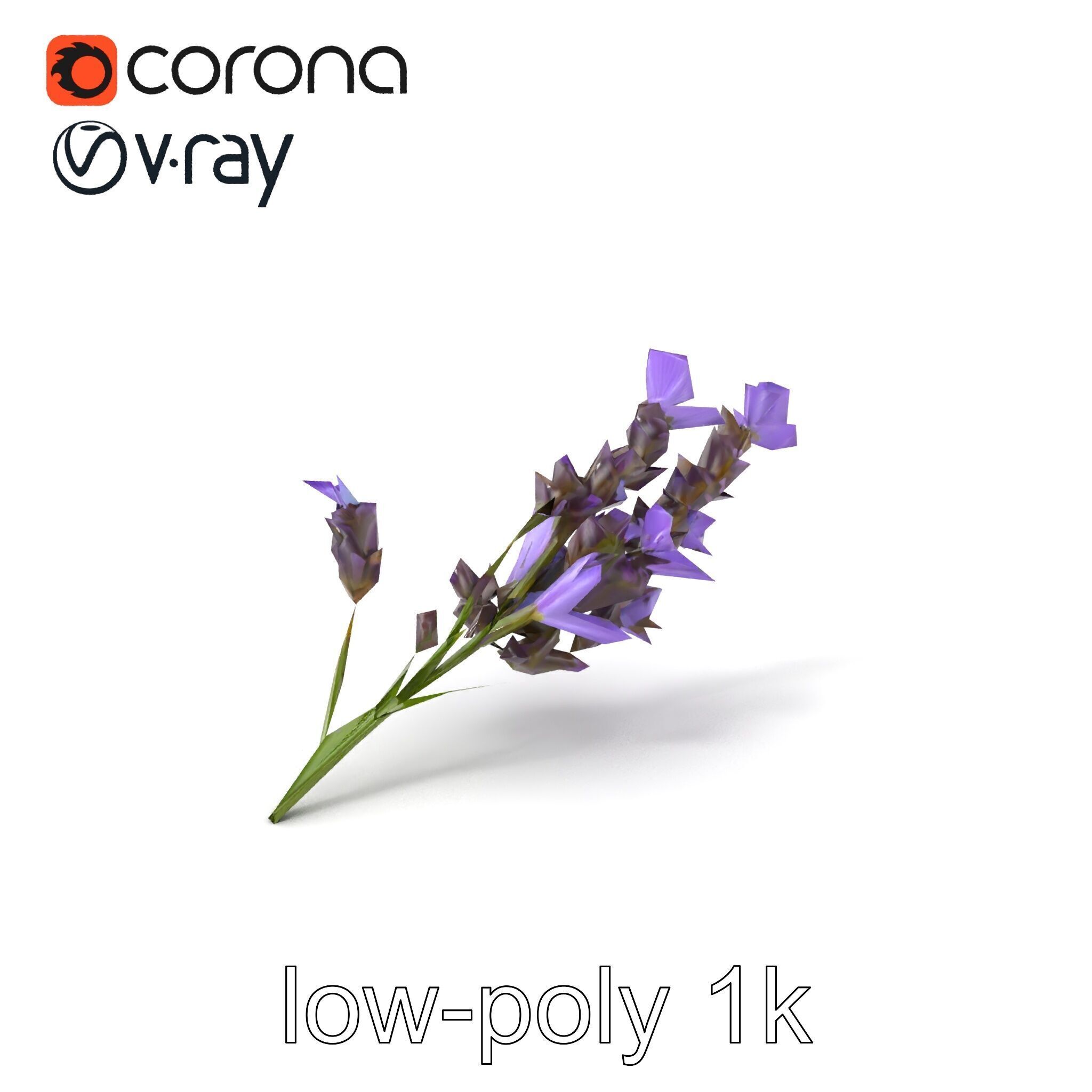 Lavender Flower Botanical Detailed 3D model pack Low-poly 3D model_5