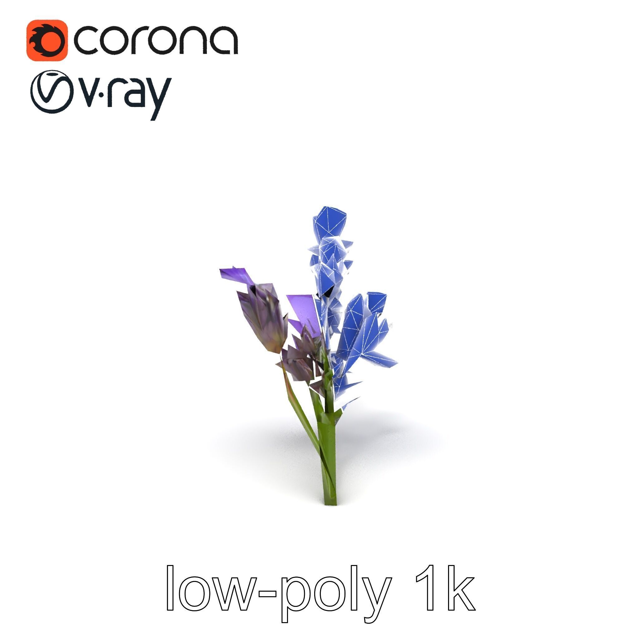 Lavender Flower Botanical Detailed 3D model pack Low-poly 3D model_27