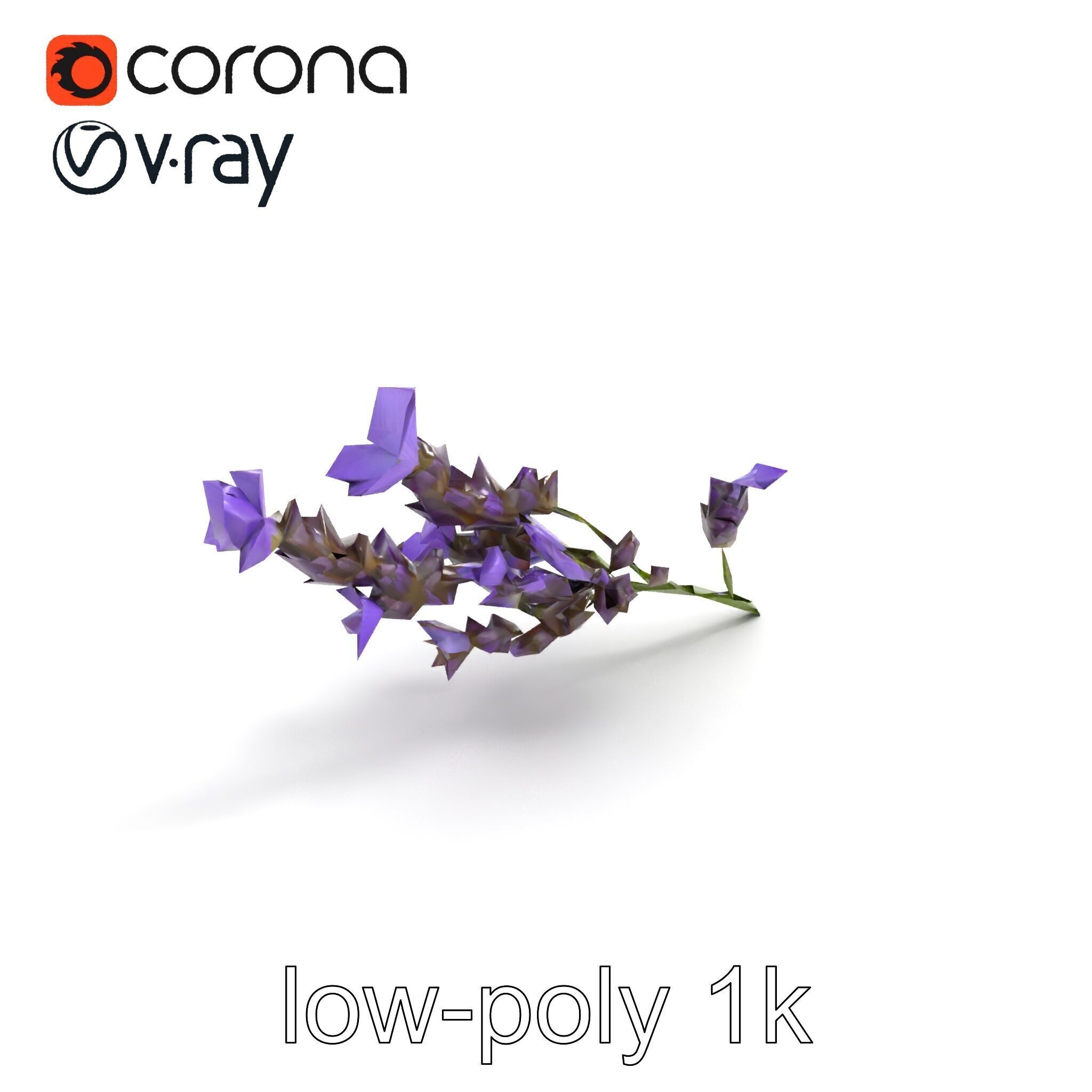 Lavender Flower Botanical Detailed 3D model pack Low-poly 3D model_9