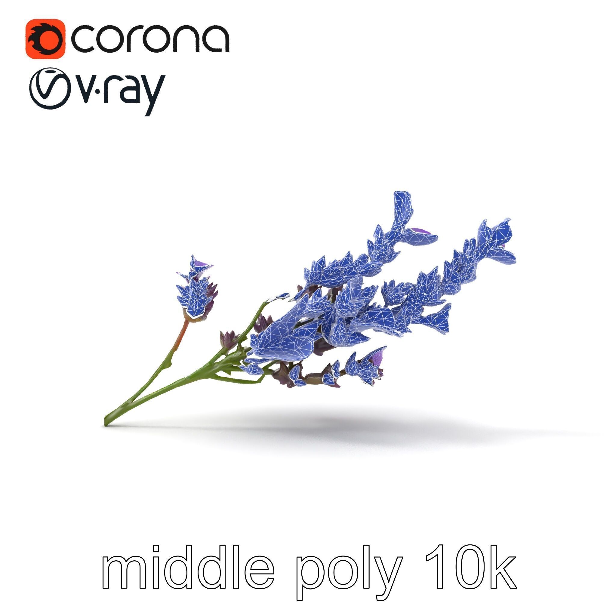 Lavender Flower Botanical Detailed 3D model pack Low-poly 3D model_23