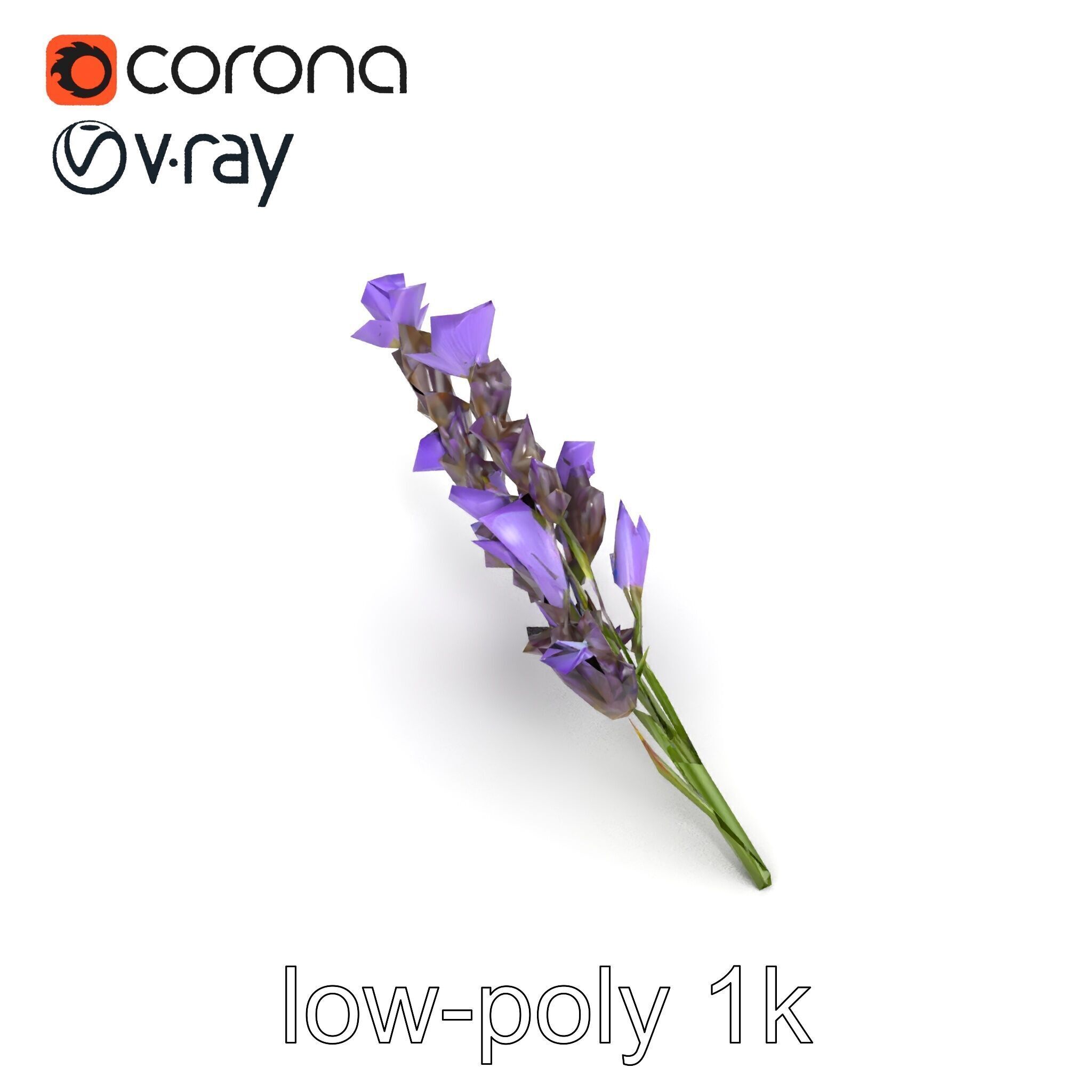 Lavender Flower Botanical Detailed 3D model pack Low-poly 3D model_19