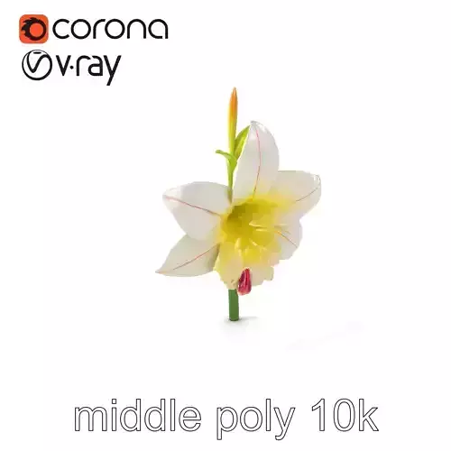 Freesia Grandiflora Large Blooms Model Pack Low-poly 3D model