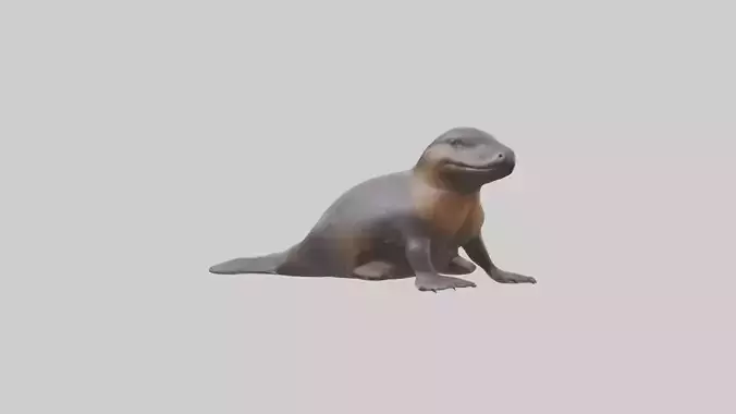 Platypus sitting model