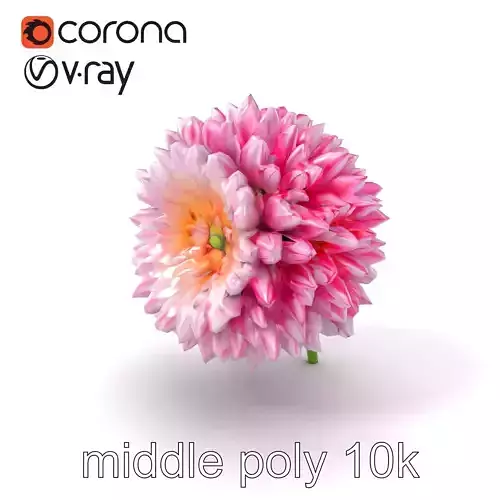 Chrysanthemum Bicolor Blossoms model pack Low-poly 3D model