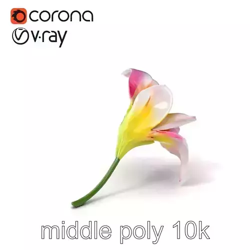 Freesia Bicolor Flower Realistic Petals Model Pack Low-poly 3D model