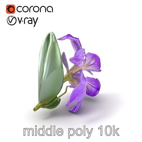 Freesia Purple Realistic Flower model pack Low-poly 3D model