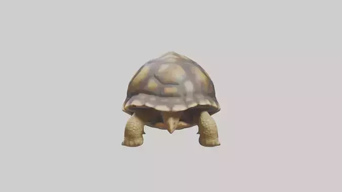 Plowshare Tortoise walking model