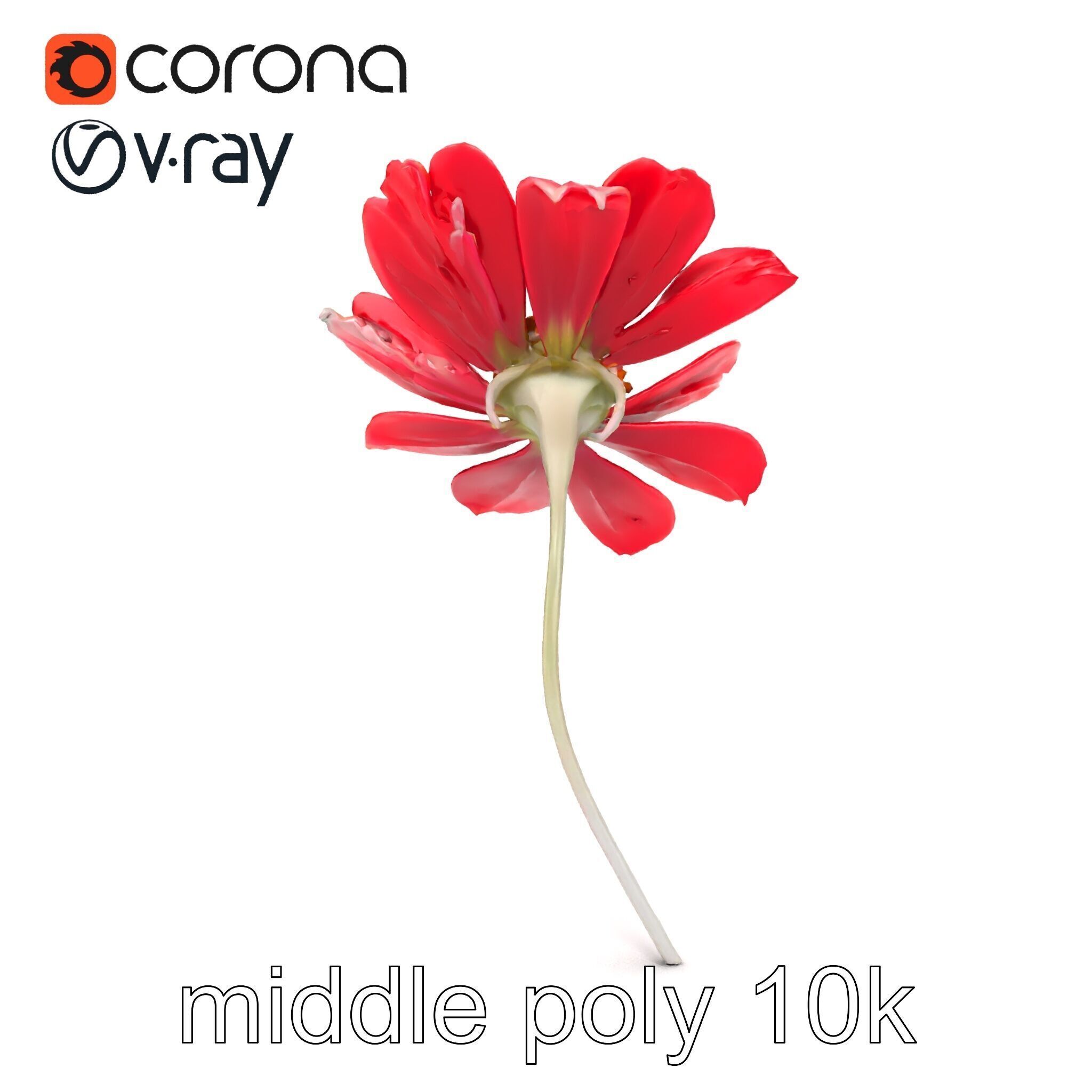 Lavandula Red Flower Detailed Botanical Model Pack Low-poly 3D model_15