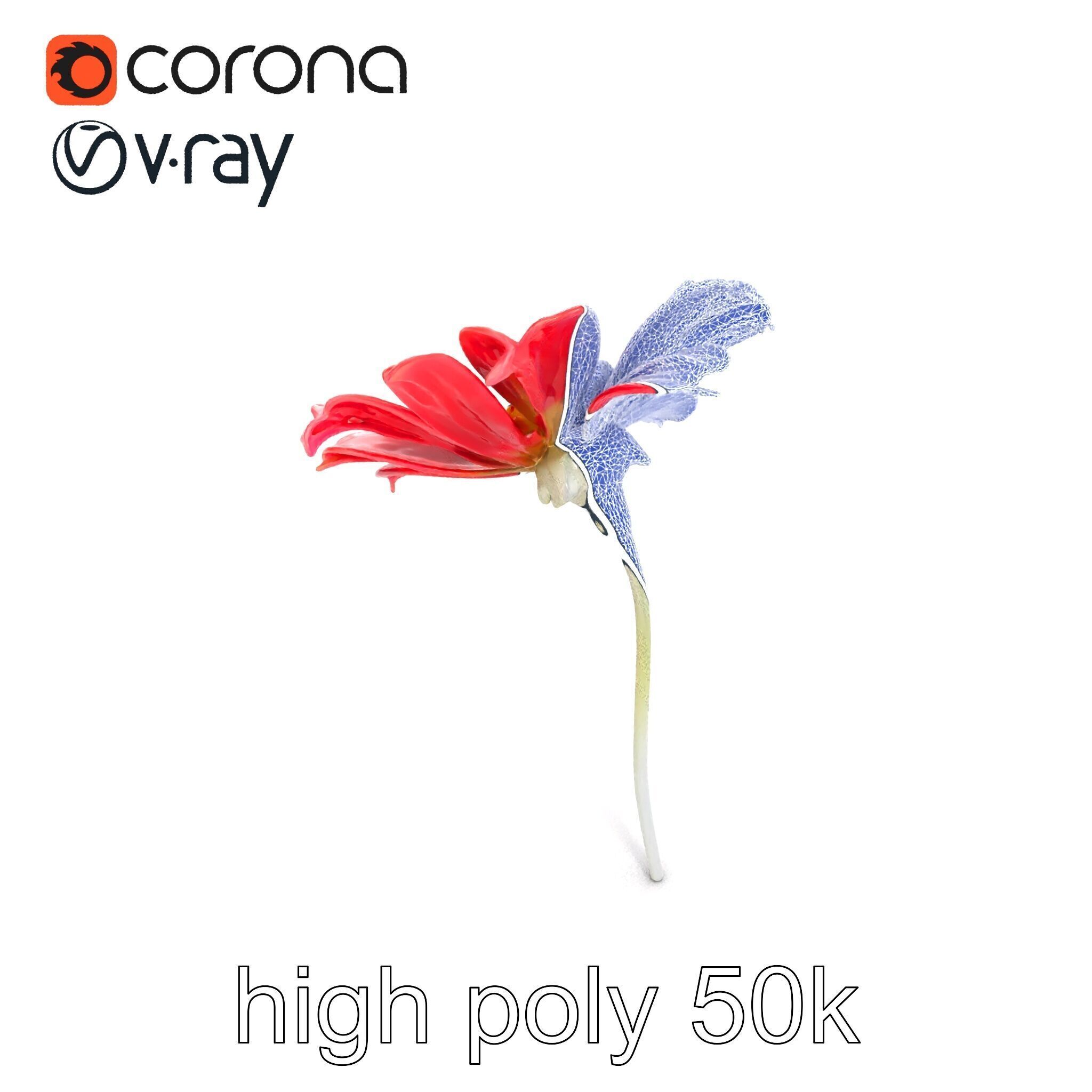 Lavandula Red Flower Detailed Botanical Model Pack Low-poly 3D model_25