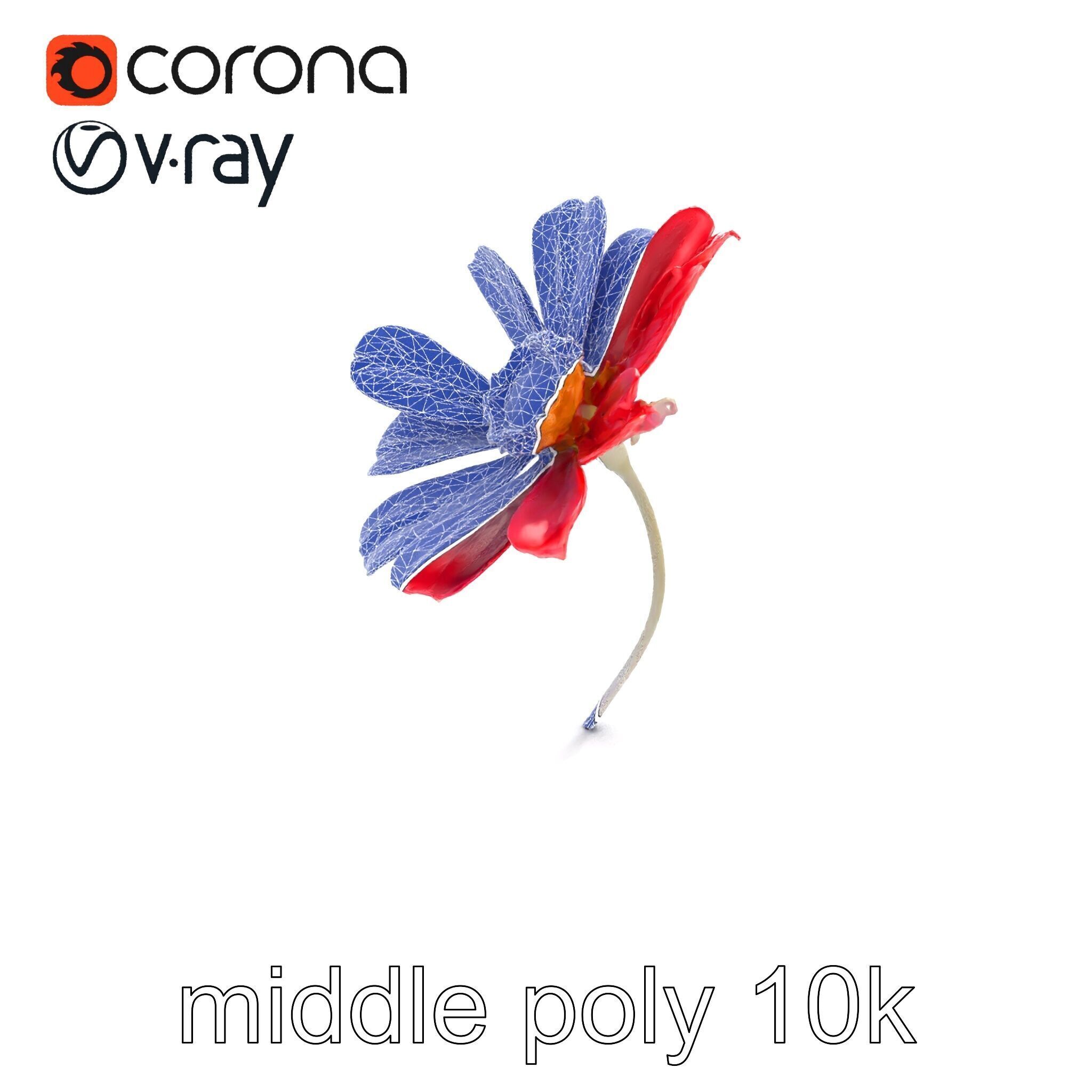 Lavandula Red Flower Detailed Botanical Model Pack Low-poly 3D model_10