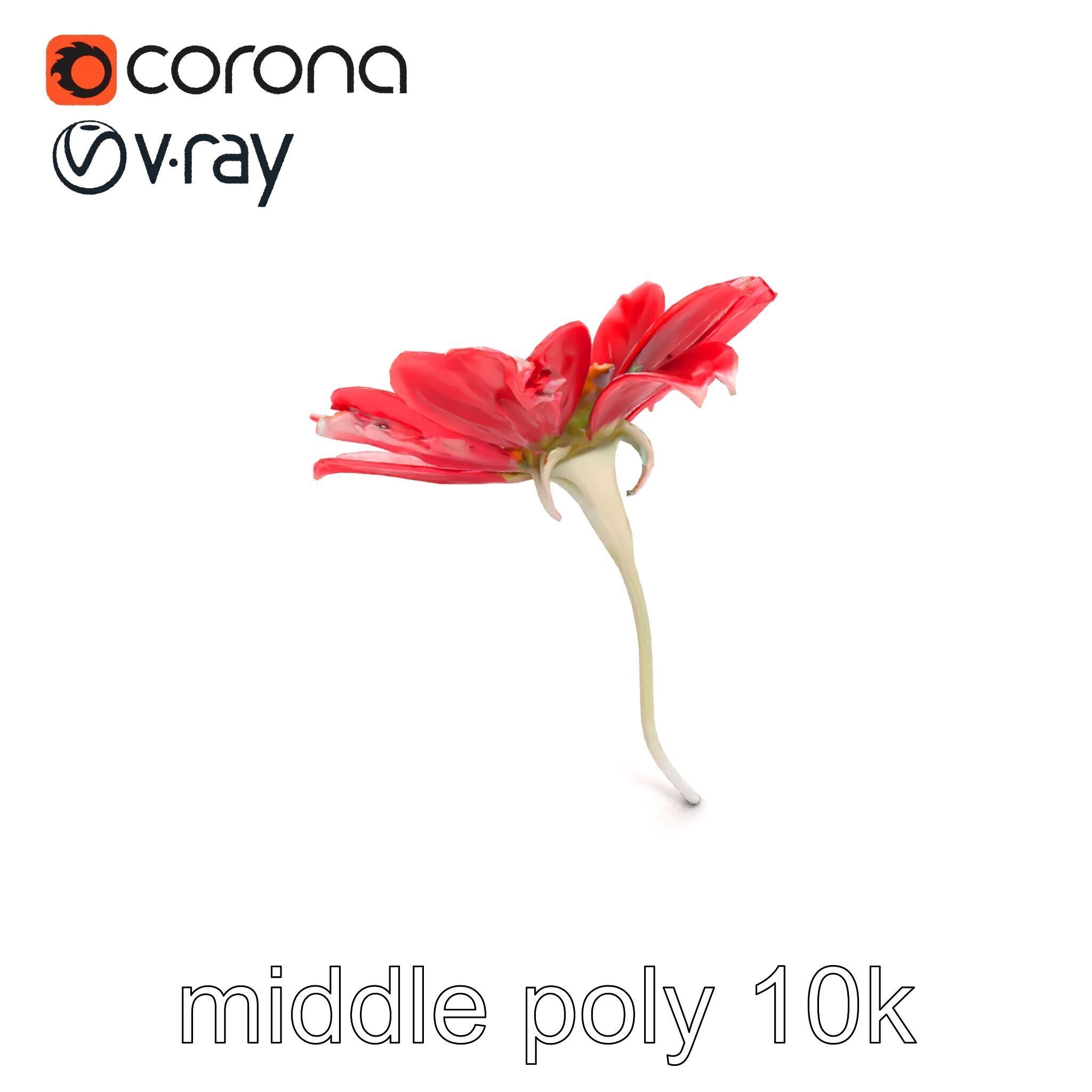 Lavandula Red Flower Detailed Botanical Model Pack Low-poly 3D model_24