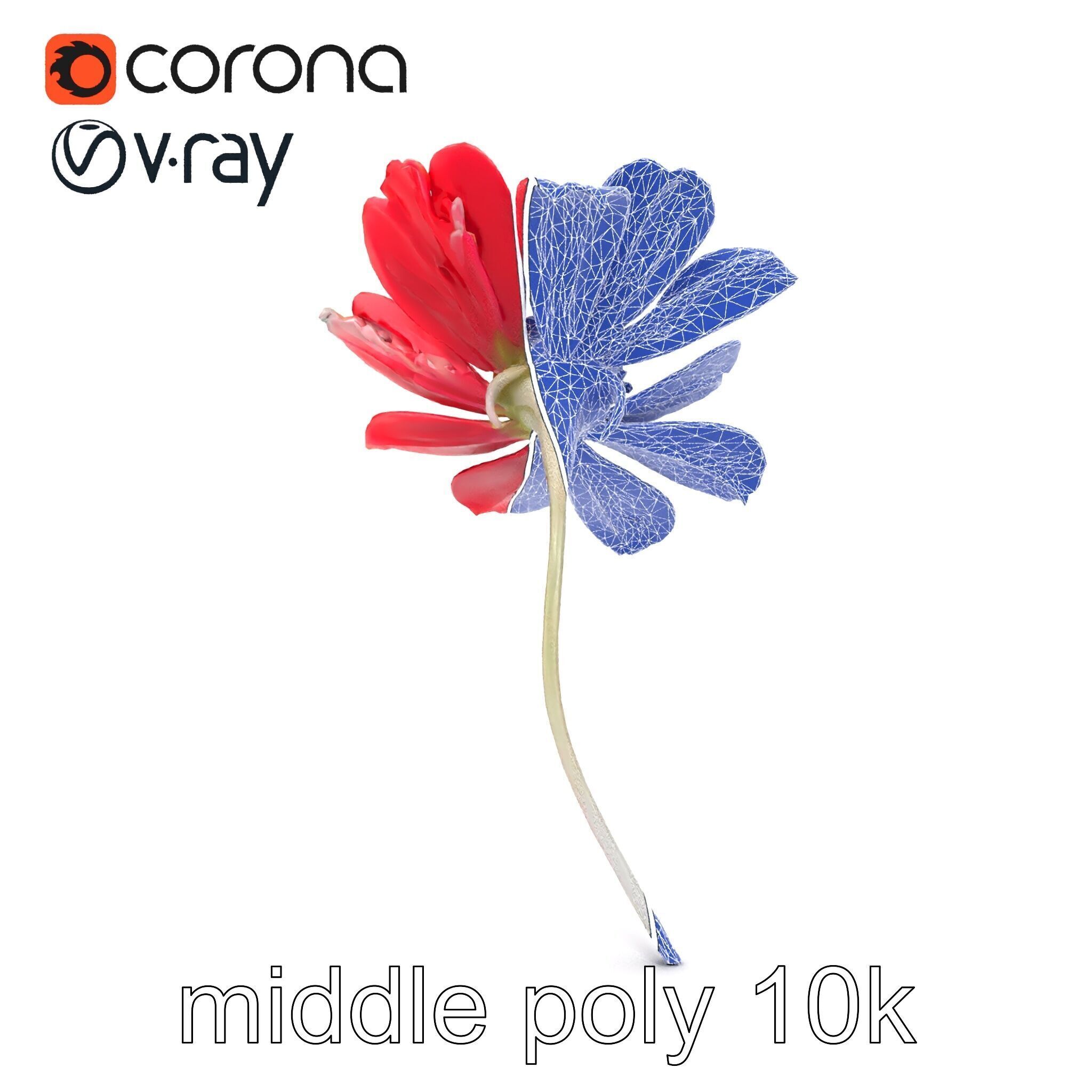 Lavandula Red Flower Detailed Botanical Model Pack Low-poly 3D model_18