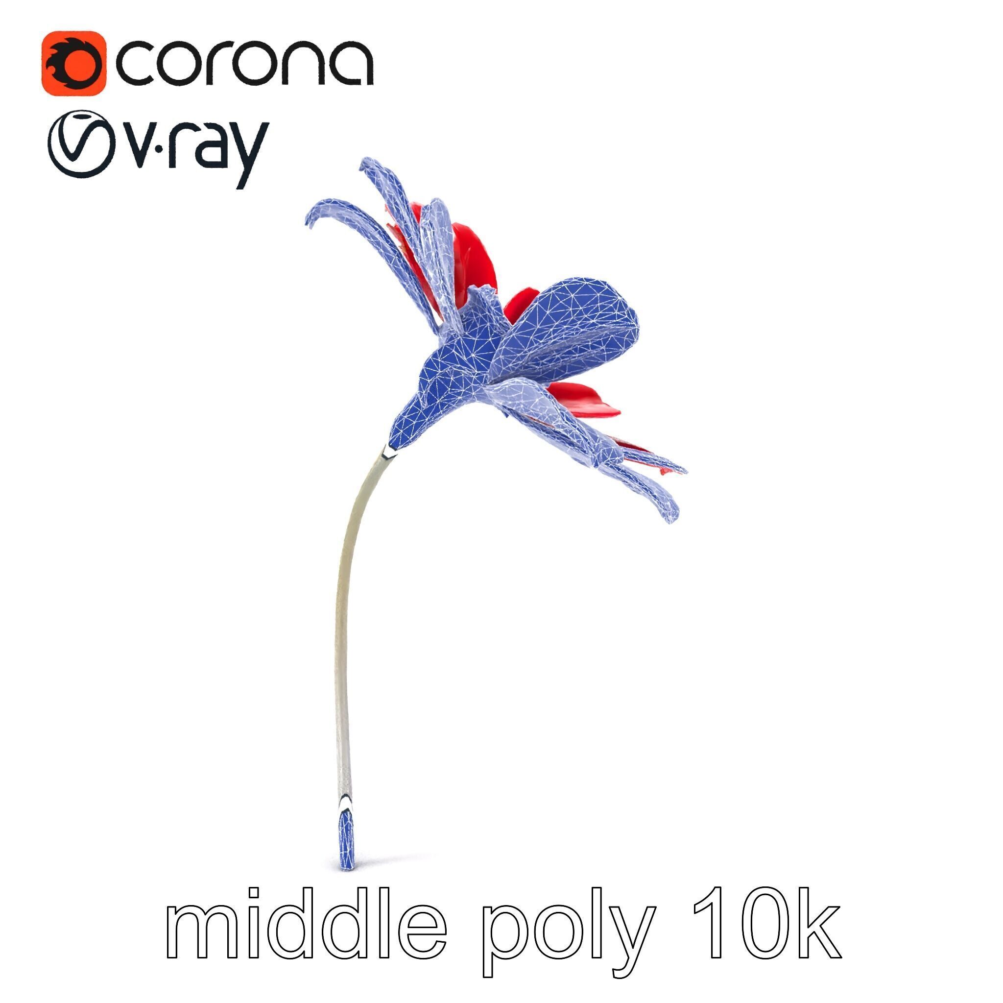 Lavandula Red Flower Detailed Botanical Model Pack Low-poly 3D model_22