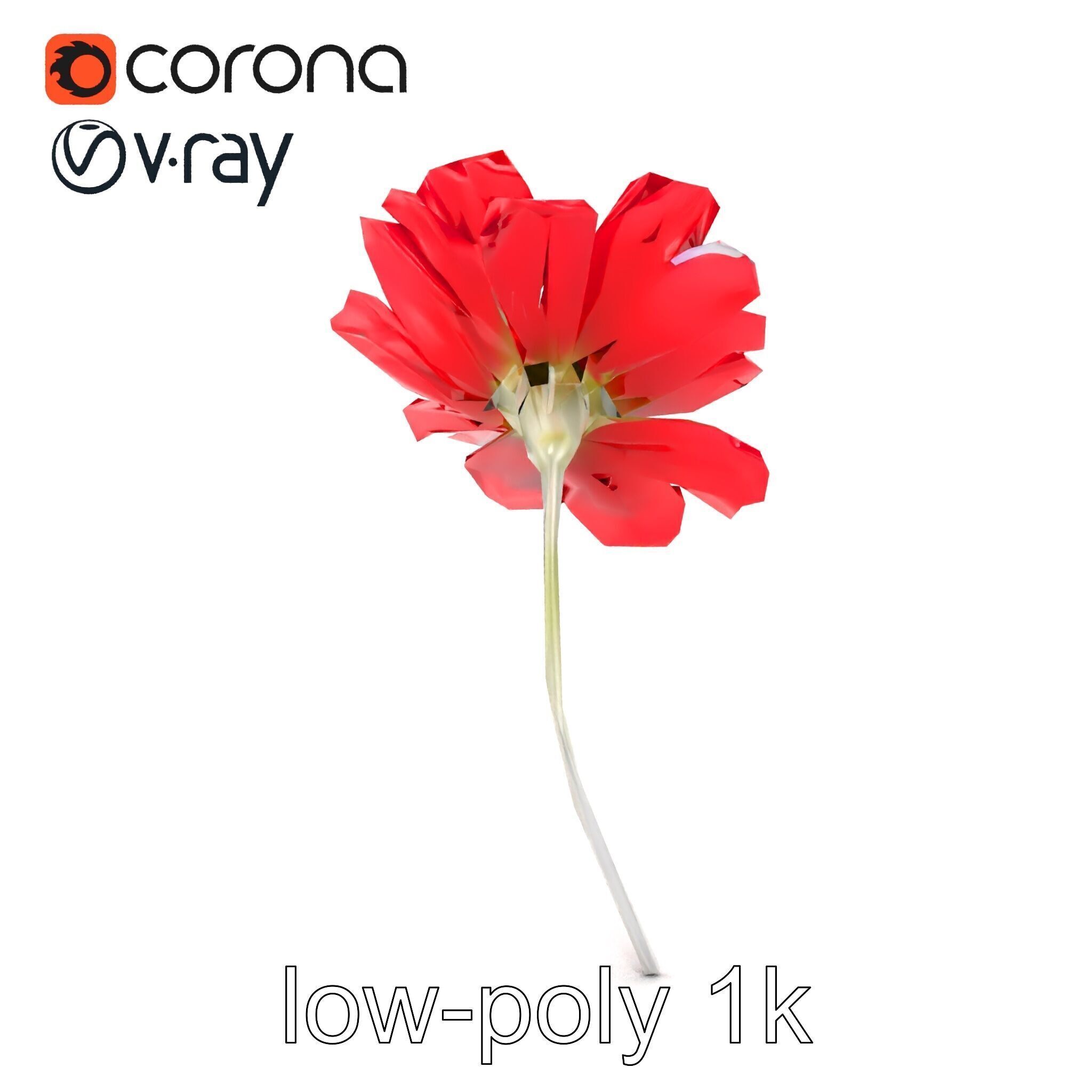 Lavandula Red Flower Detailed Botanical Model Pack Low-poly 3D model_30