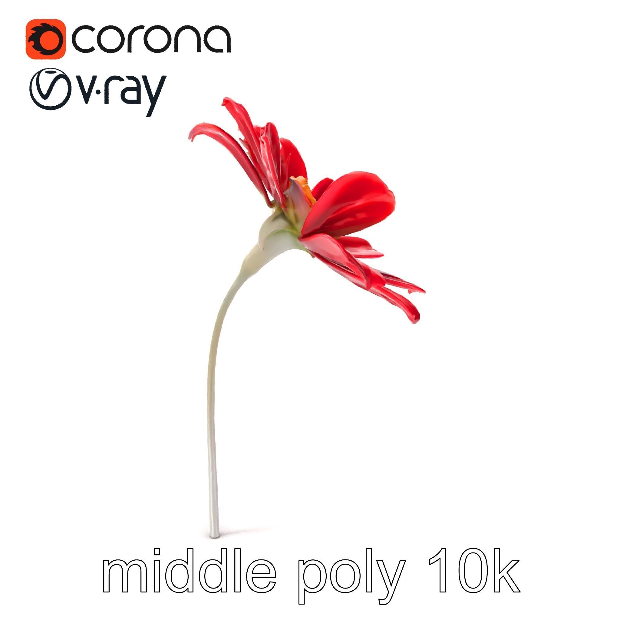 Lavandula Red Flower Detailed Botanical Model Pack Low-poly 3D model_26